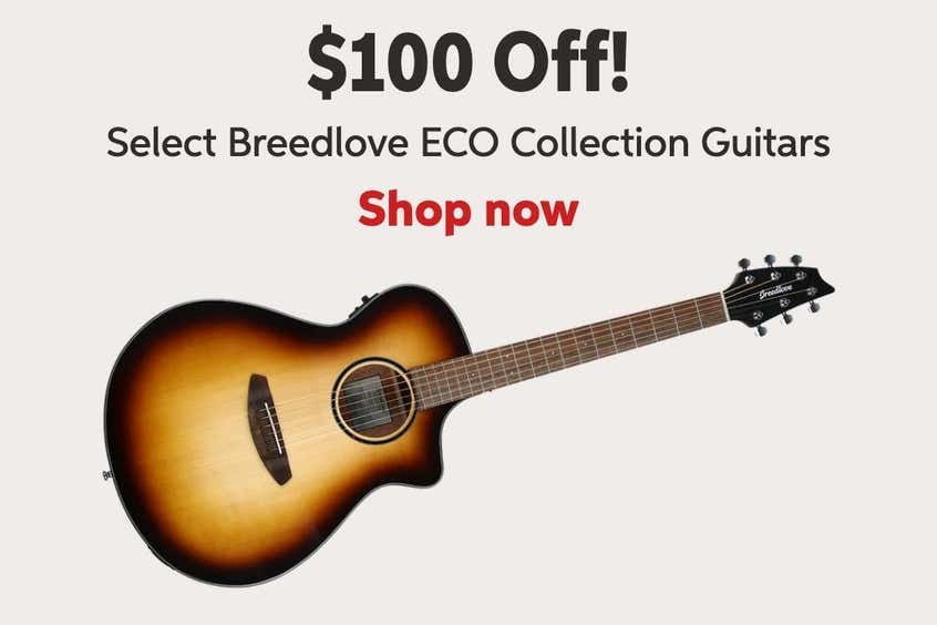 Acoustic Guitars Sweetwater