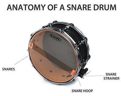 Panduan Membeli Drum Akustik - InSyncPanduan Membeli Drum Akustik - InSync  