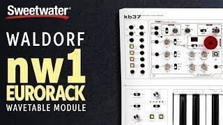 Waldorf nw1 Eurorack Wavetable Module Demo at Knobcon 2018 - InSync