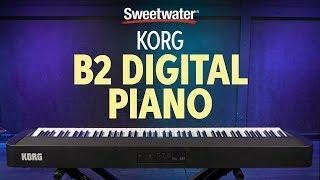 Korg B2N Digital Piano - Black | Sweetwater