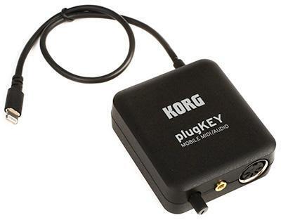 Plug Key