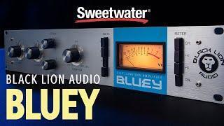**予約済** Black Lion Audio Bluey Bluey 500 FET Limiting Amplifier – Black Lion Audio