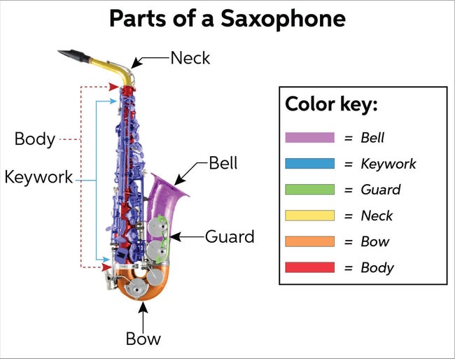 Saxophone Rental and Buying Guide - InSync