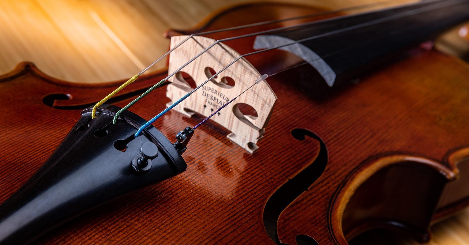 What Are Orchestral Strings Made of? String Materials Explained - InSync