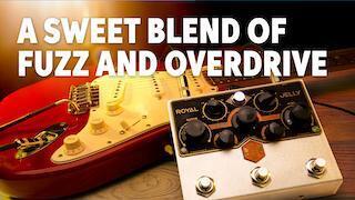 ギター Beetronics  Jelly Royal Jelly Fuzz/OD Blender • Royal Series – Beetronics