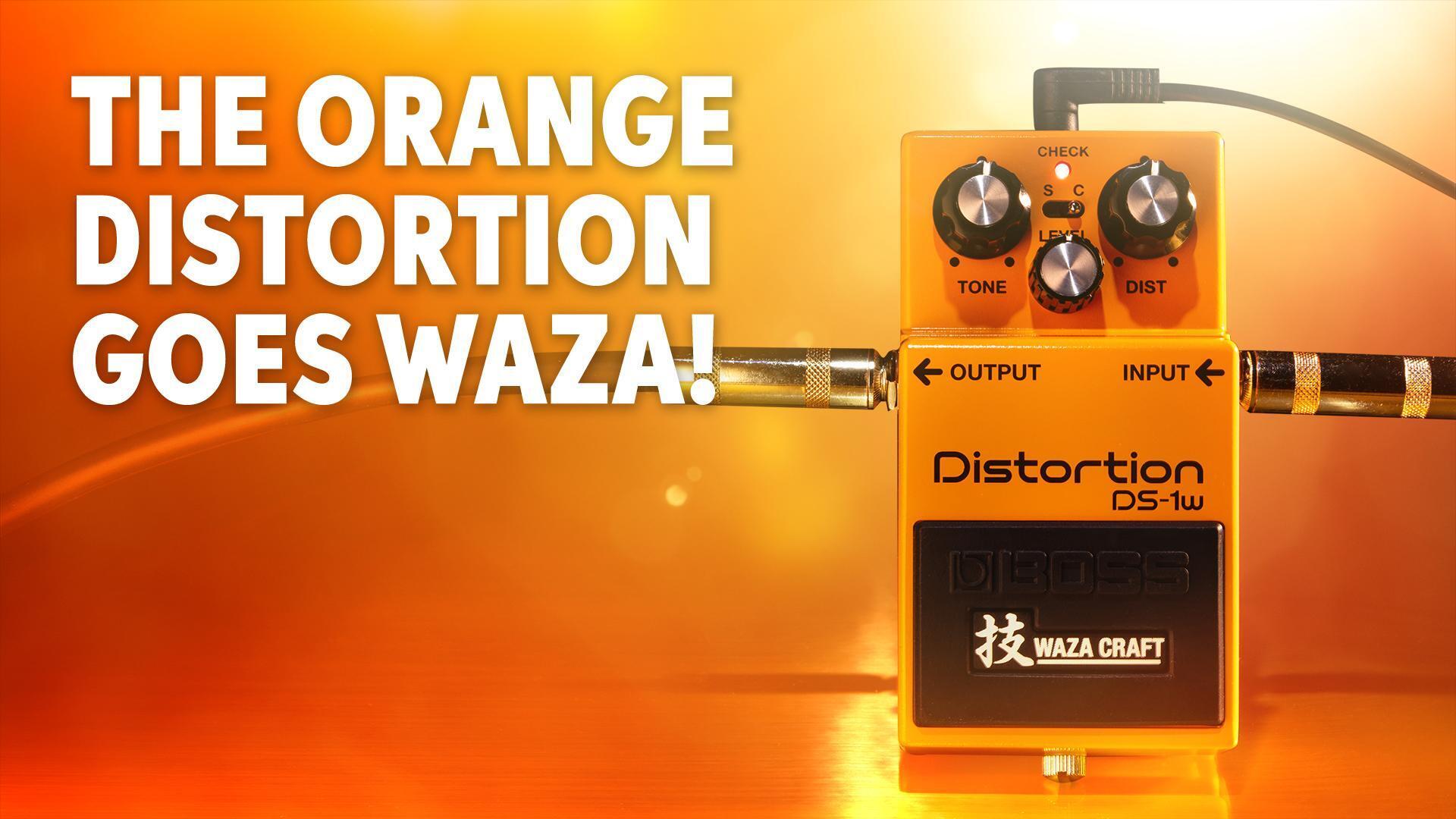BOSS-DS-1W-Waza-Craft-