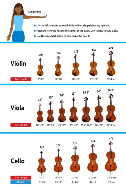 The Parent's Guide to Orchestral String Instruments - InSync