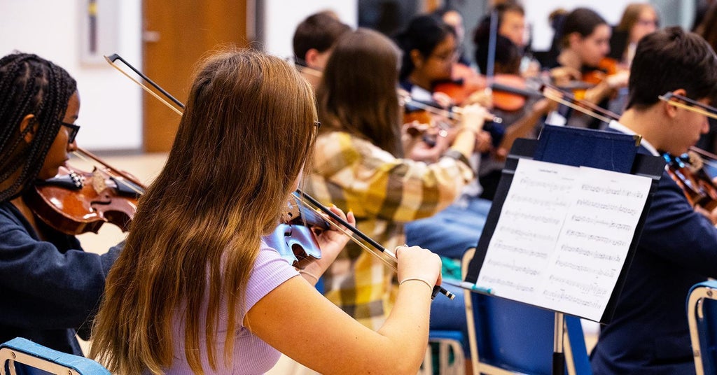 The Parent's Guide to Orchestral String Instruments - InSync