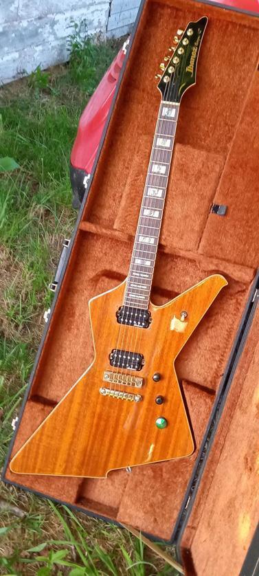 Instruments | NISHGAKI GUITARS | Official Web Site