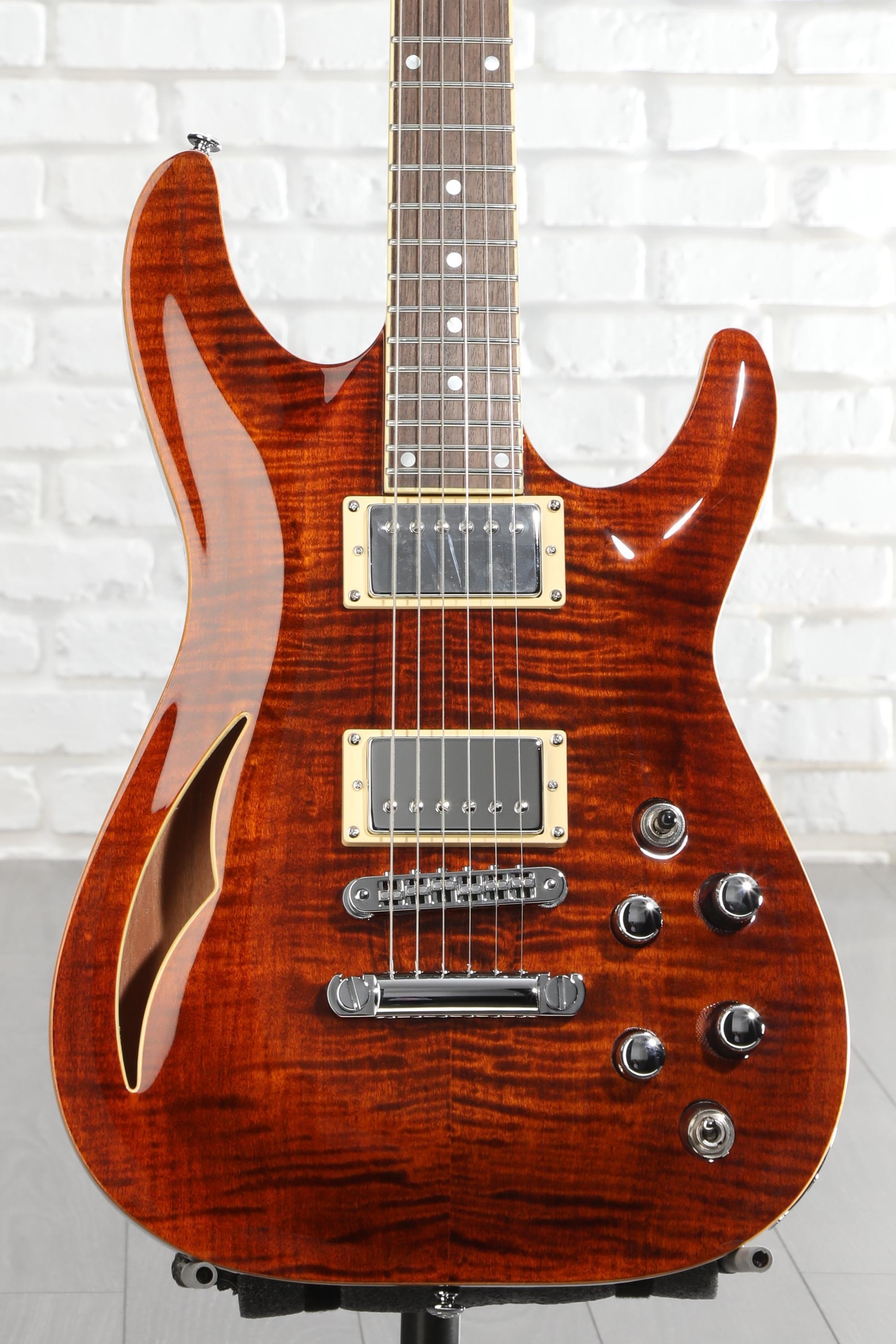 Schecter C-1 E/A Classic Semi-hollowbody Electric Guitar - Cats