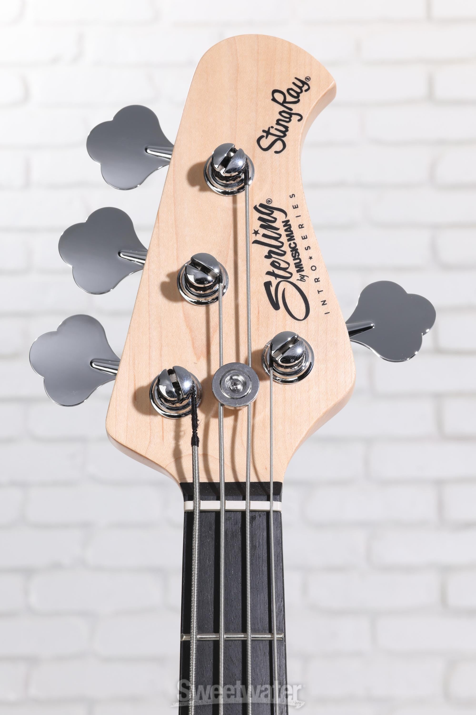 Sterling By Music Man Intro Series Stingray Bass Guitar