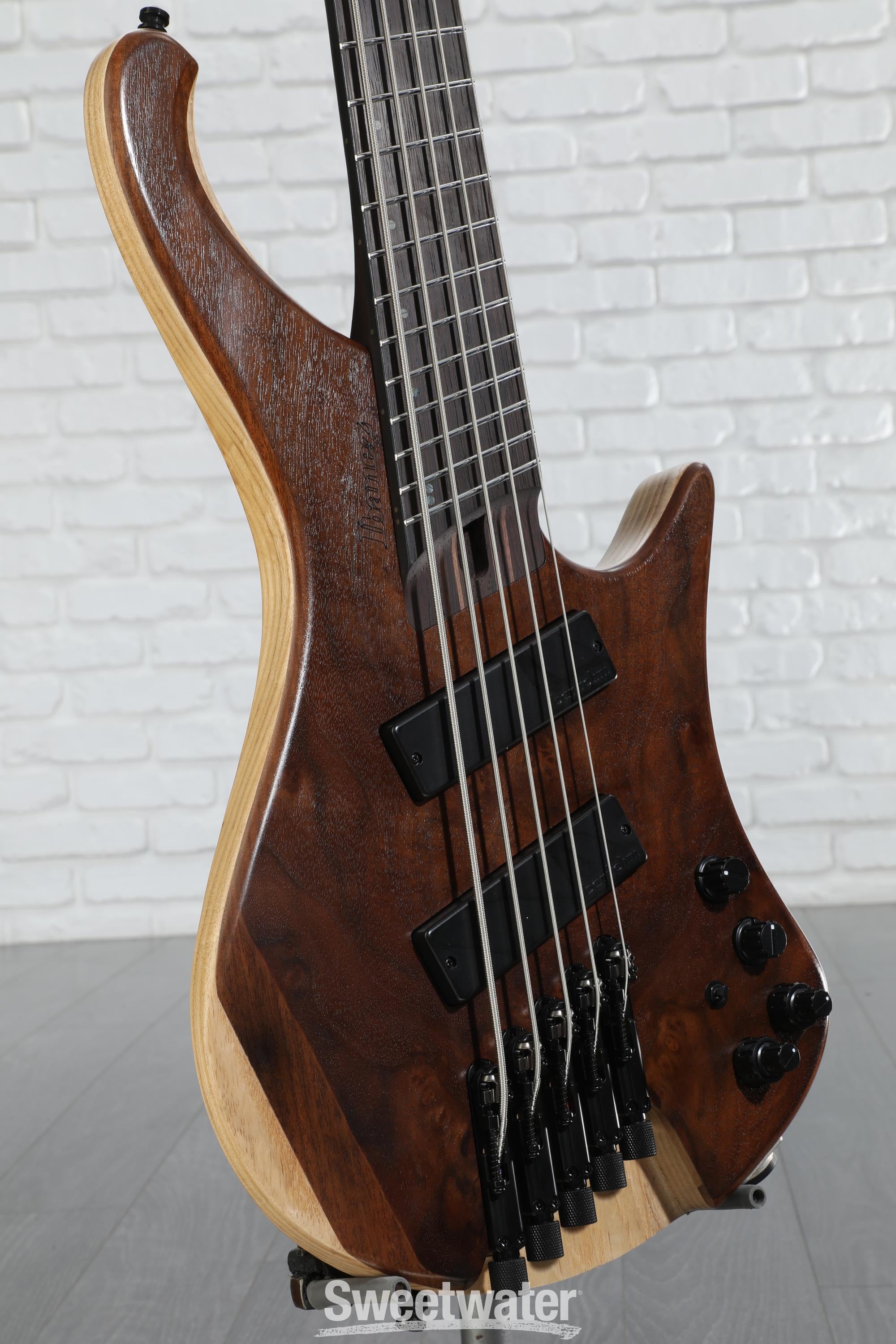 Ibanez EHB1265MS NML スポットモデル EHB1265MS | Ibanez Wiki | Fandom