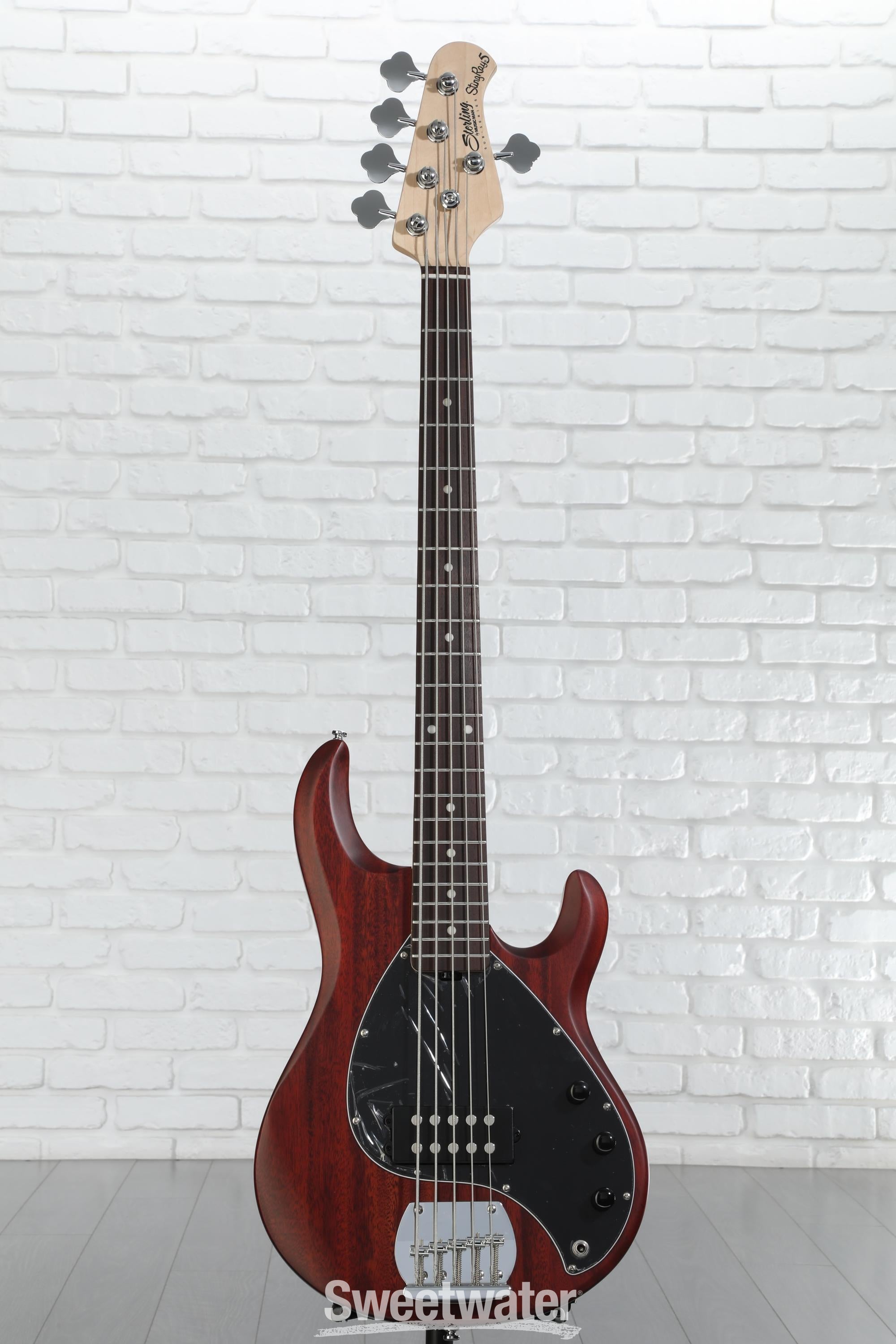 Sterling By Music Man StingRay RAY5 Bass Guitar - Walnut
