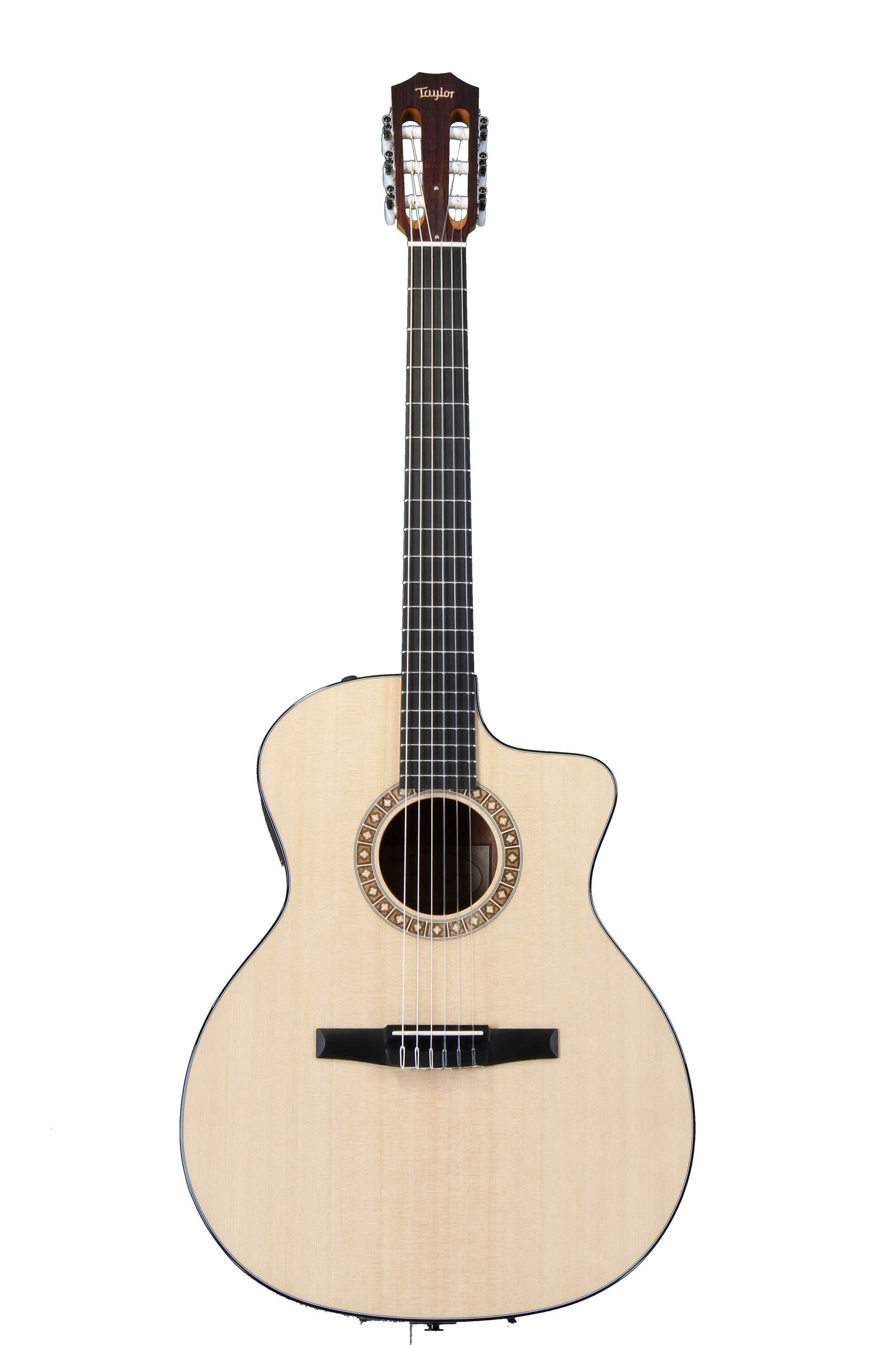 Taylor NS24ce Fall Limited 2011 - NS24ce