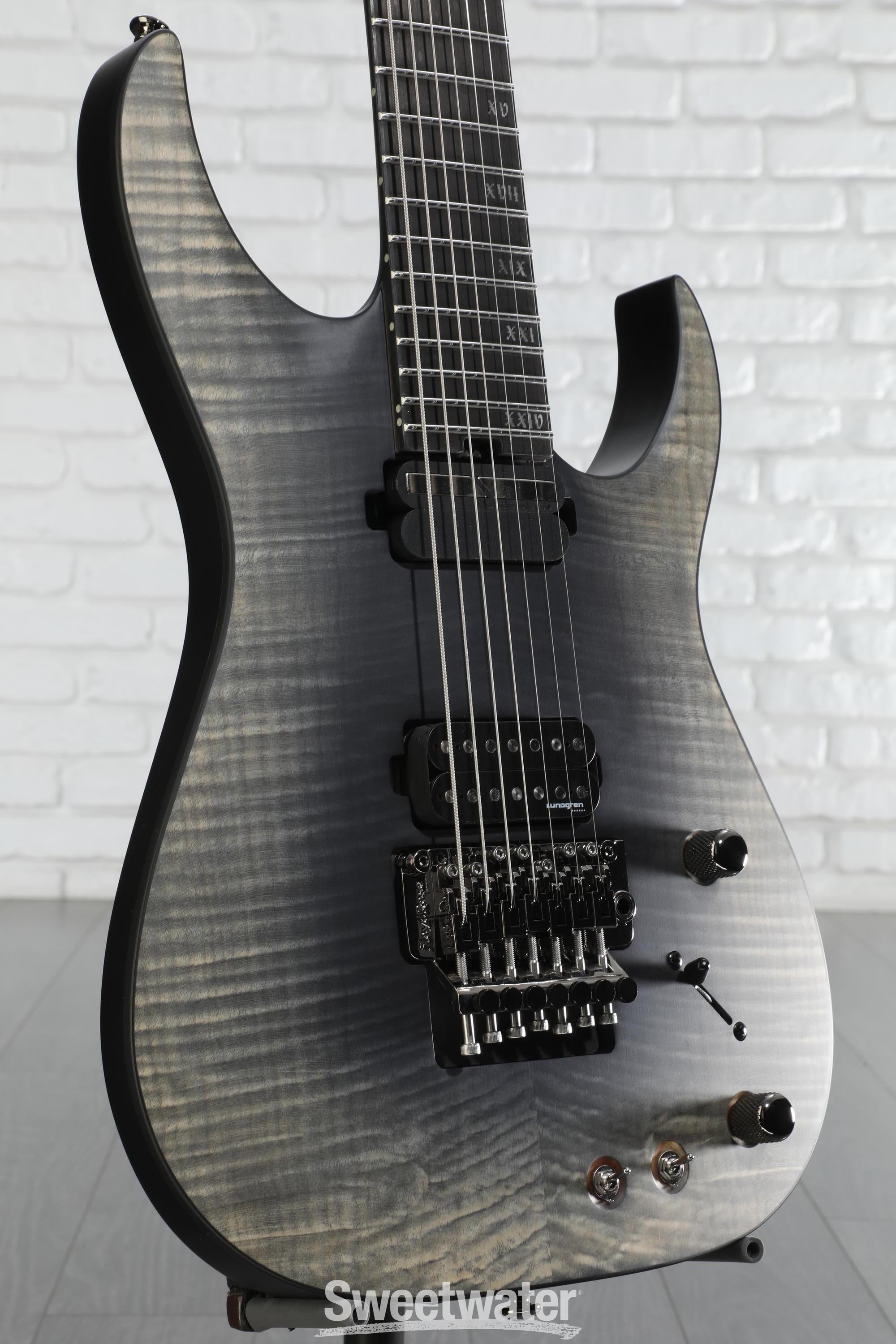 schecter banshee 7a リペイント schecter-banshee-gt-fr-