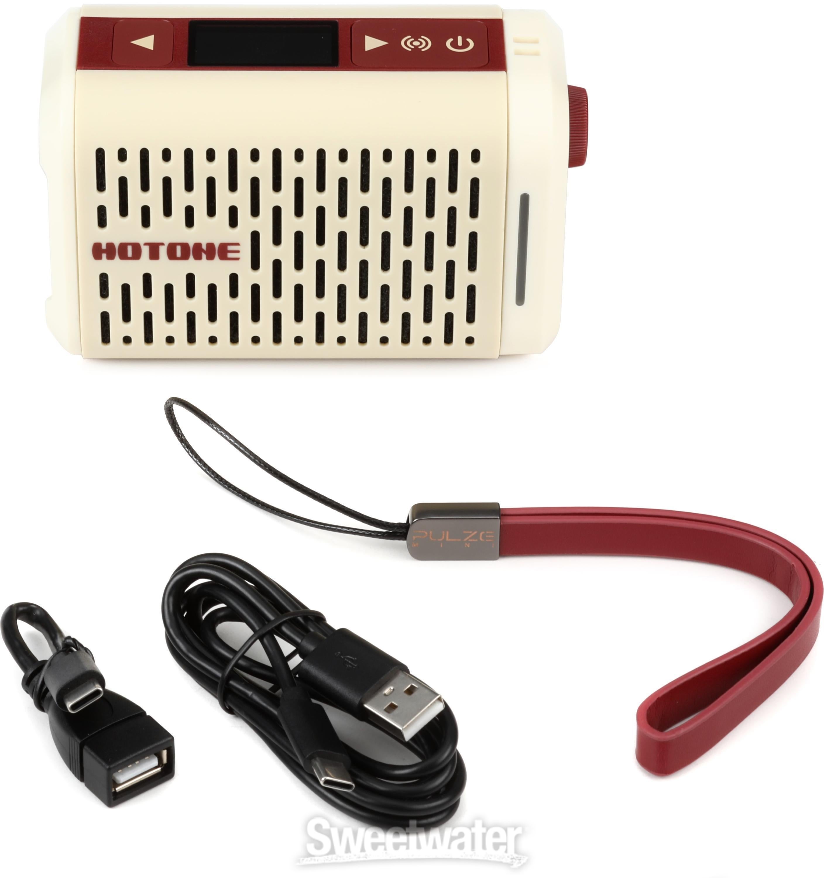 Hotone Pulze Mini 5-watt 1 x 2-inch Combo Amplifier | Sweetwater