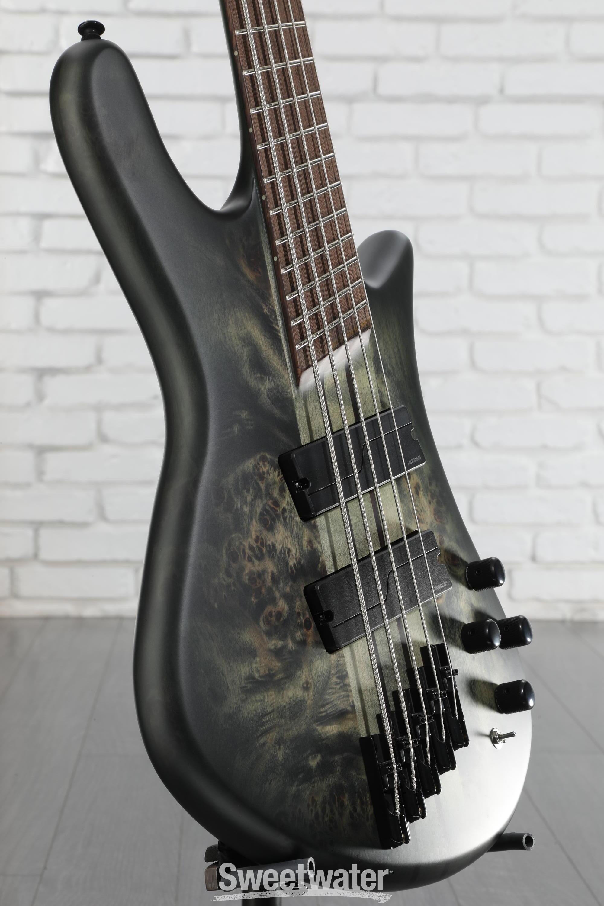 ベース Spector NS dimension-5 NS Dimension 5 - Spector Bass