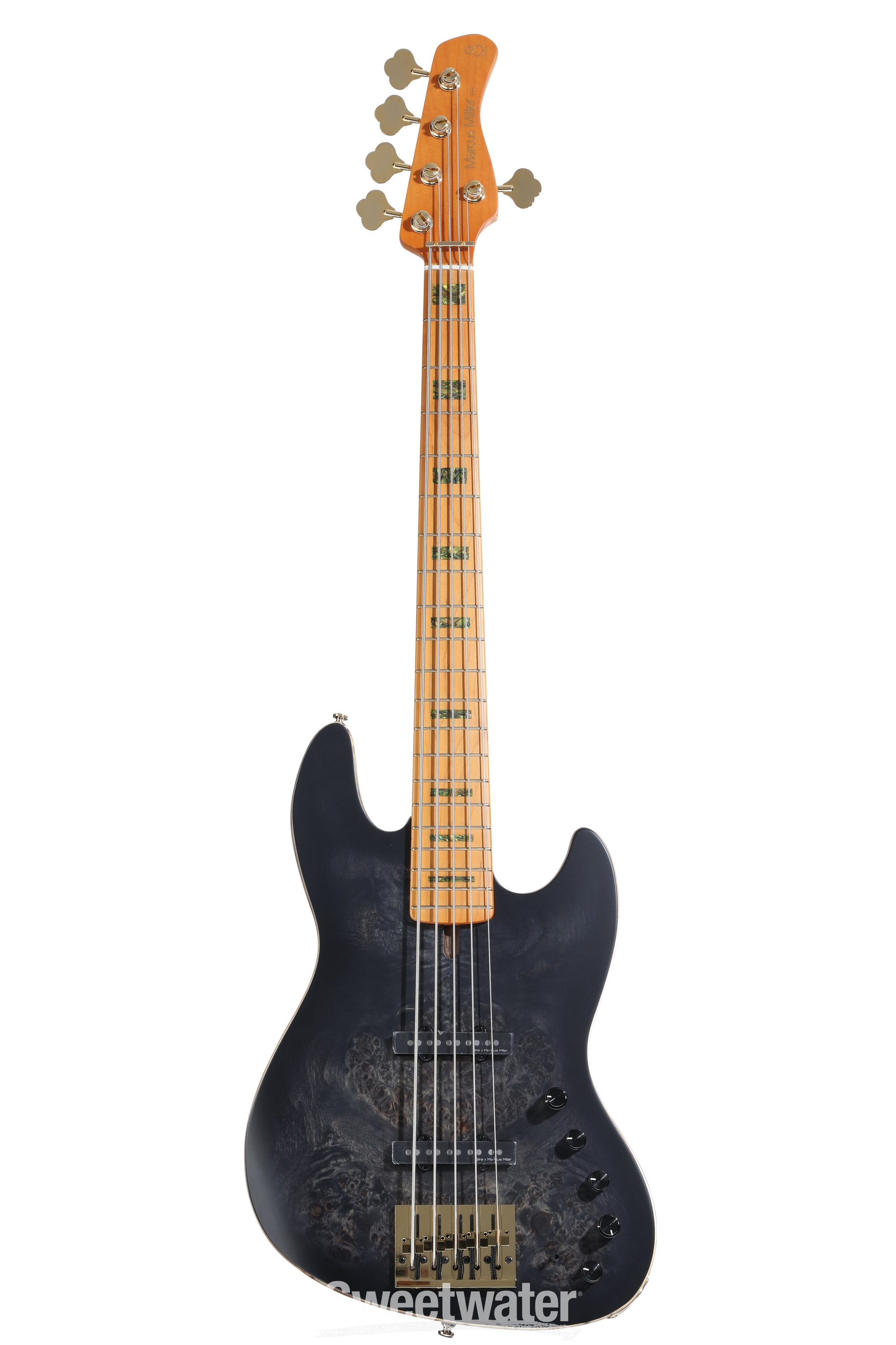 Sire V10-4 (Natural Stain) ｜イケベ楽器店オンラインストア