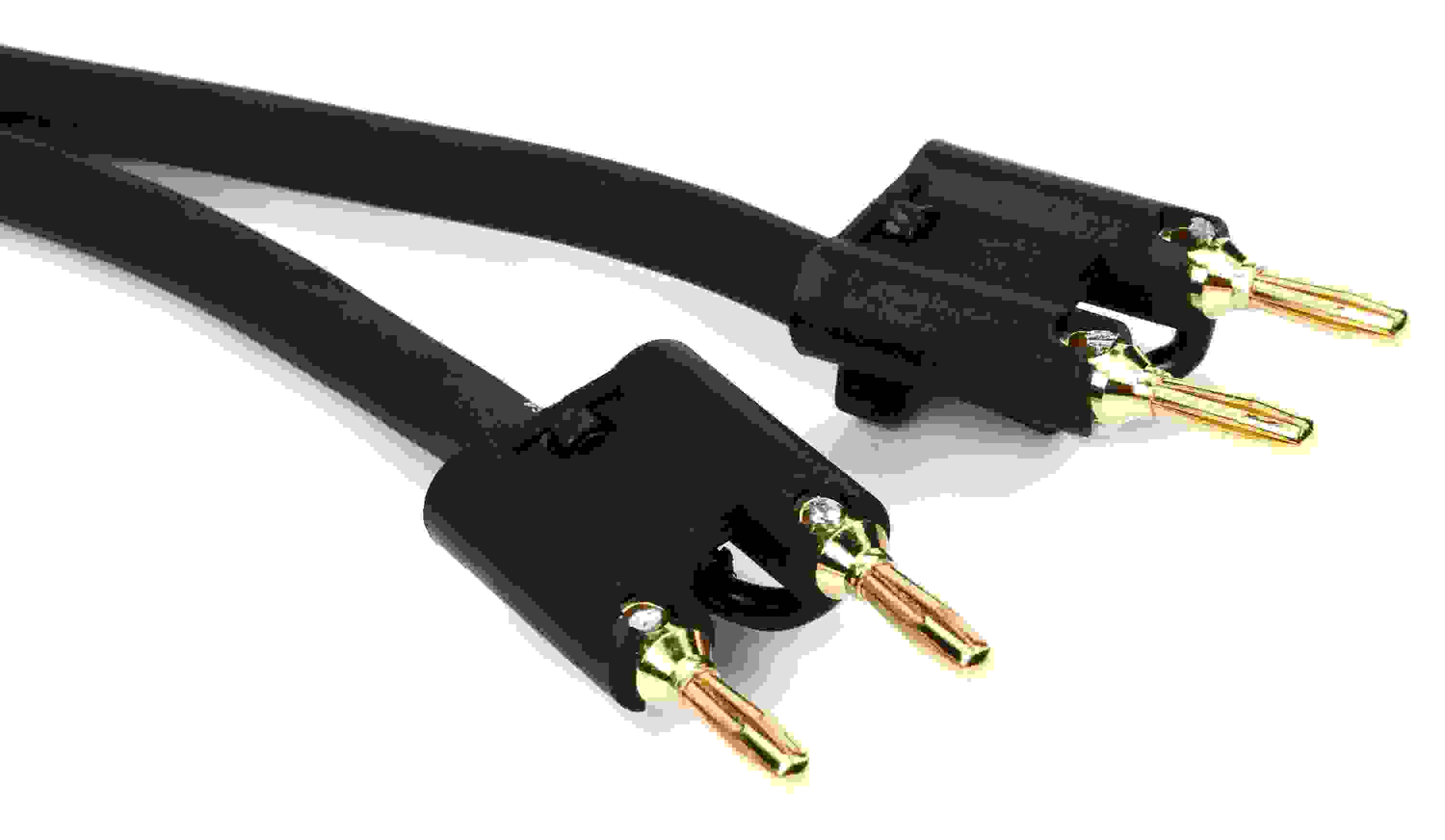 Pro Co S12BB Speaker Cable - Dual Banana to Dual Banana - 20 foot