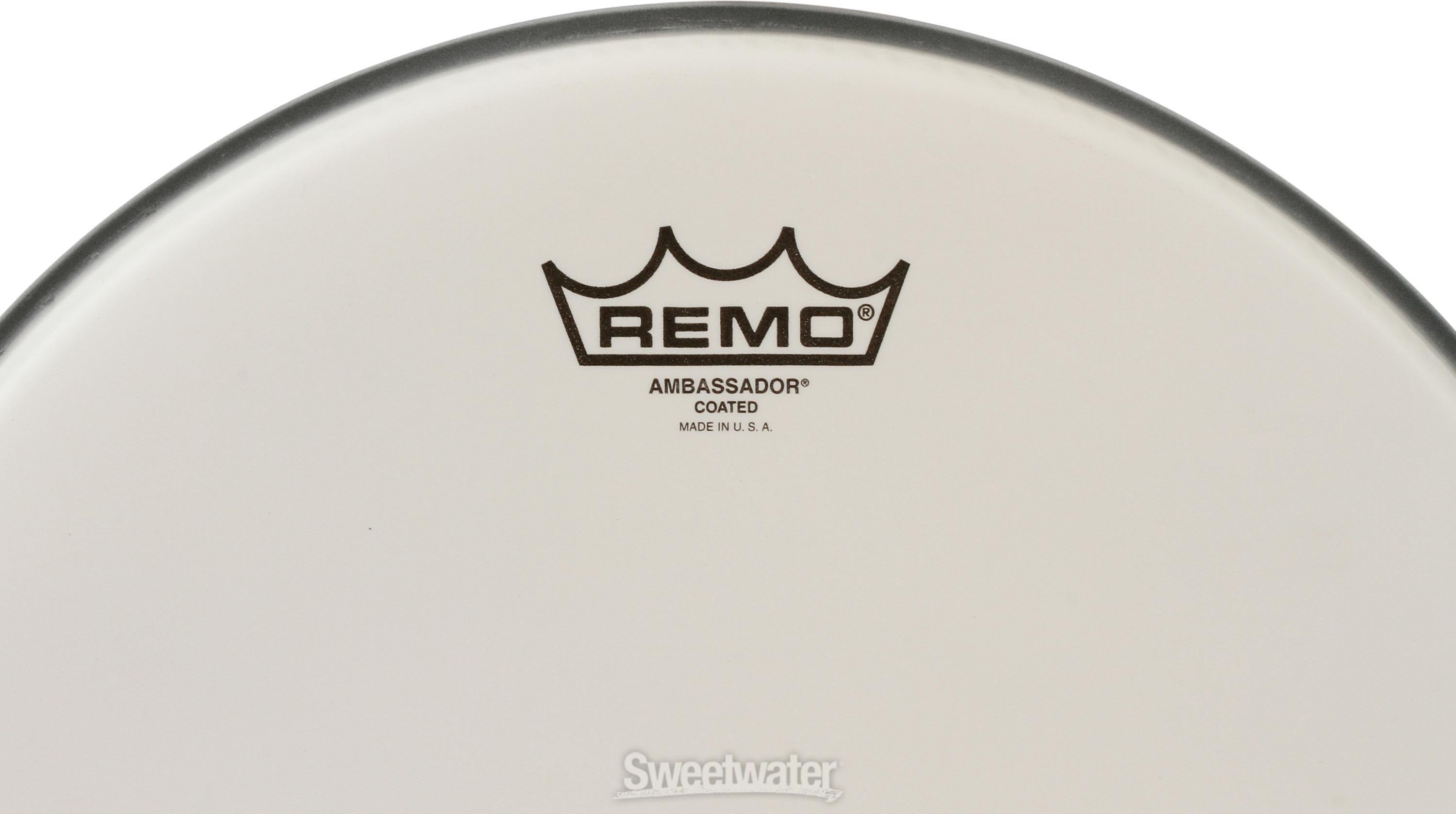 Remo on sale ambassador 13