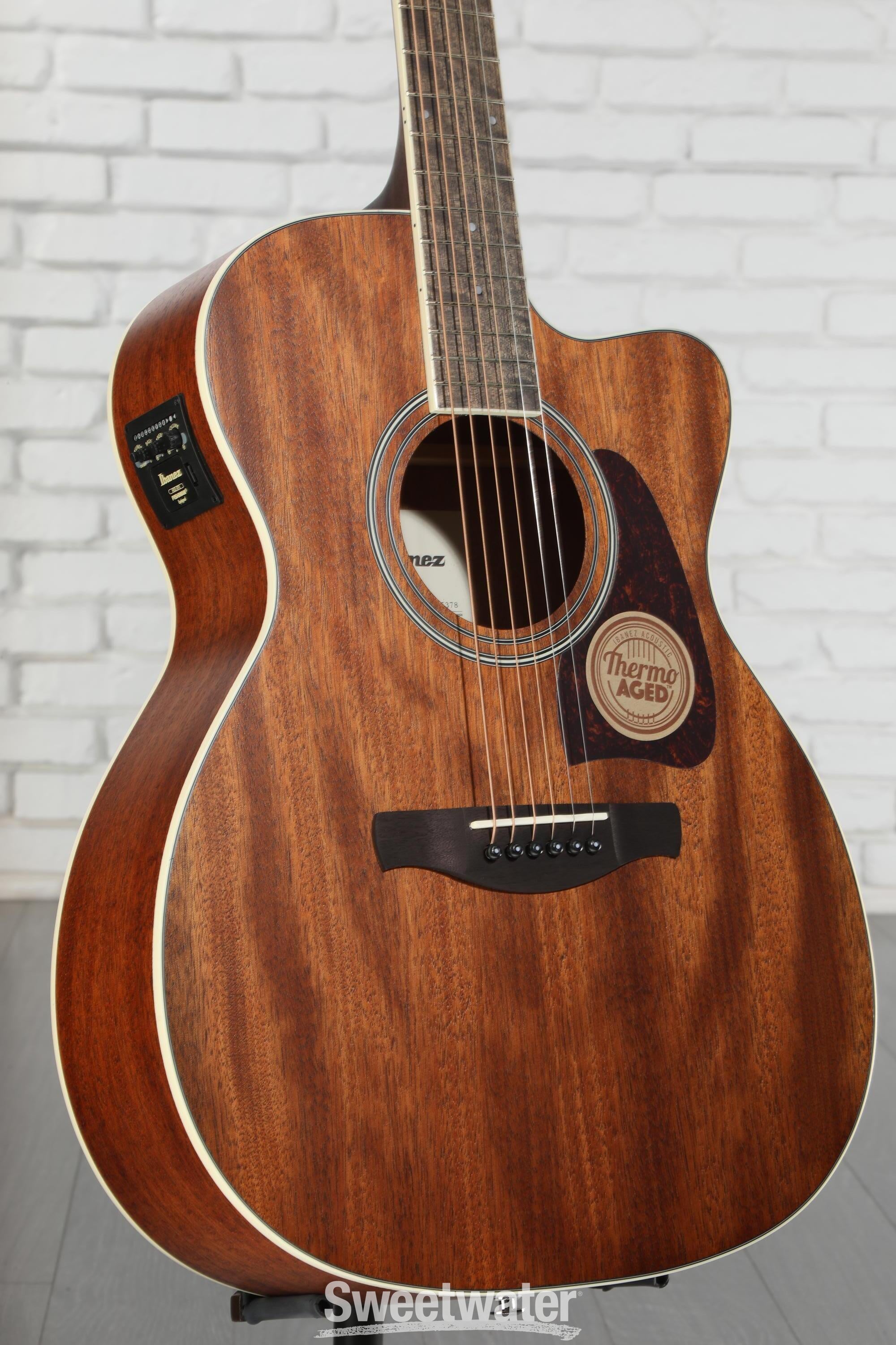 Ibanez Artwood AC340CE Acoustic-Electric Guitar - Open Pore