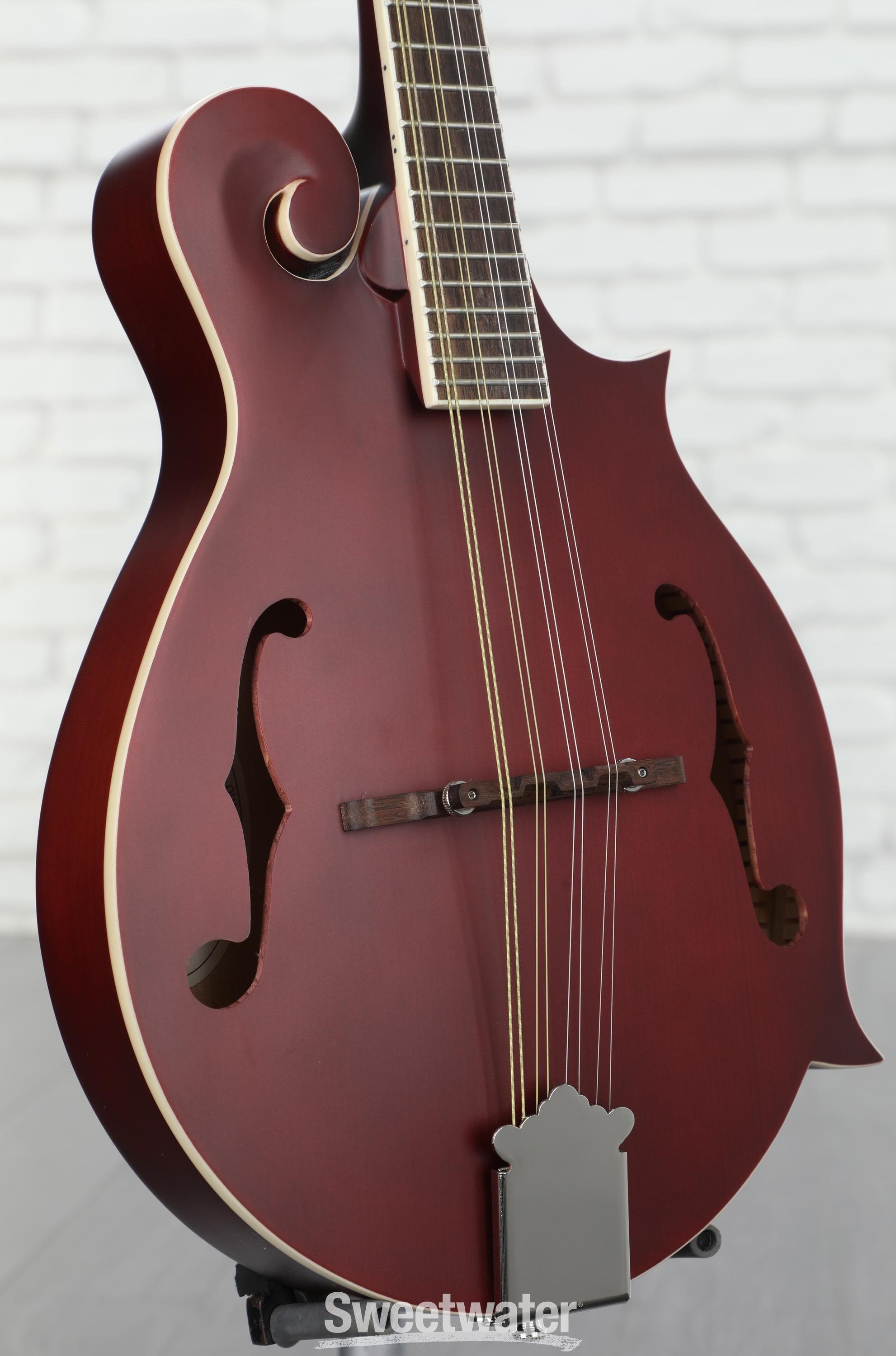 Epiphone F-5 Studio Acoustic Mandolin - Wine Red Satin | Sweetwater
