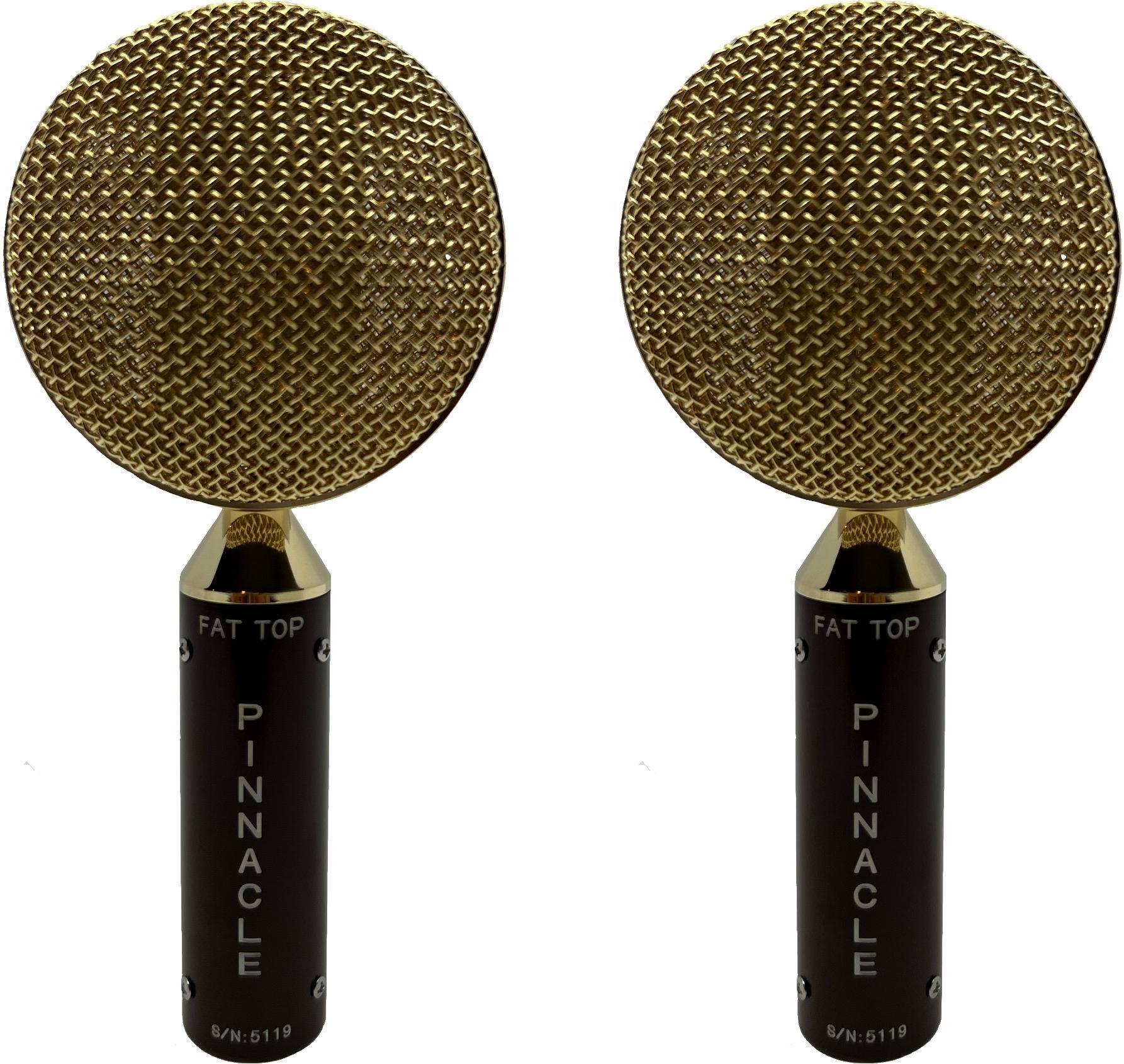Pinnacle Microphones Fat Top Ribbon Microphone Stereo Pair Brown Sweetwater