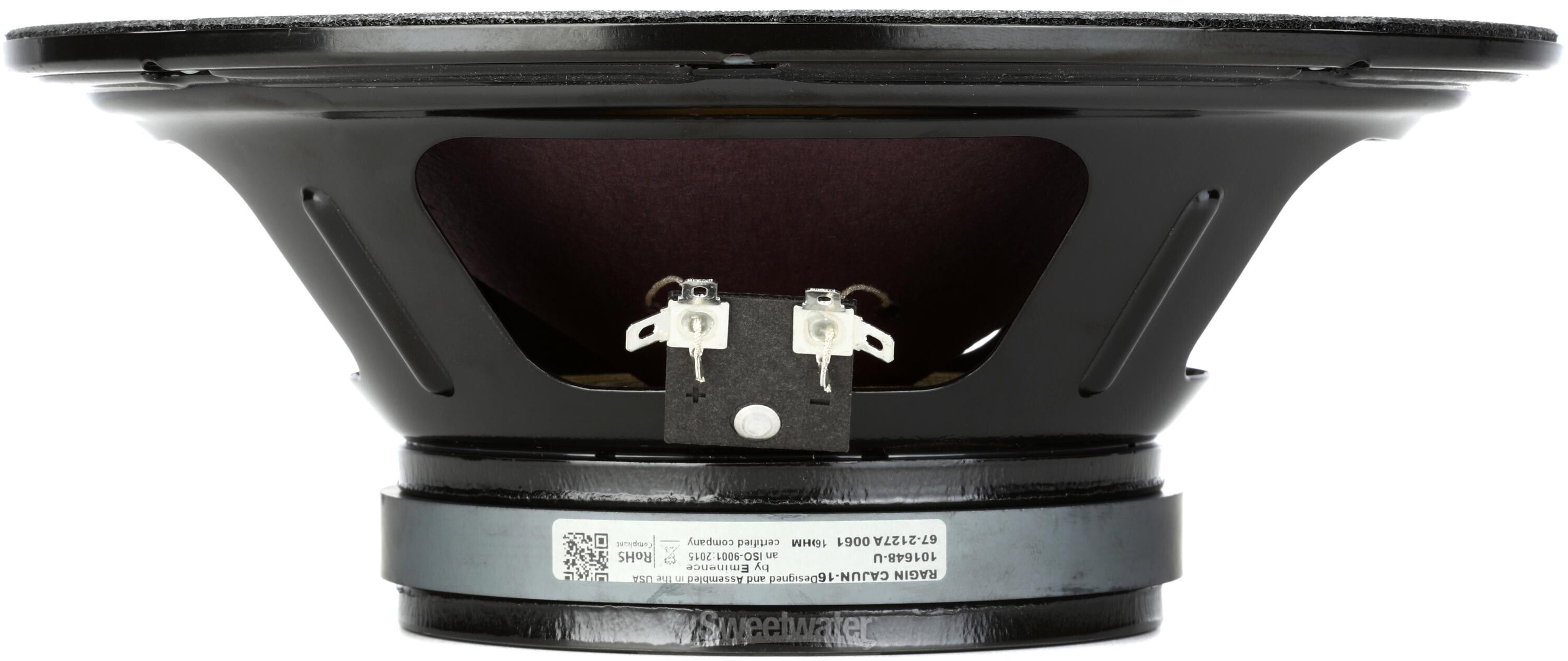 Eminence Ragin Cajun 10-inch 75-watt Replacement Guitar Amp