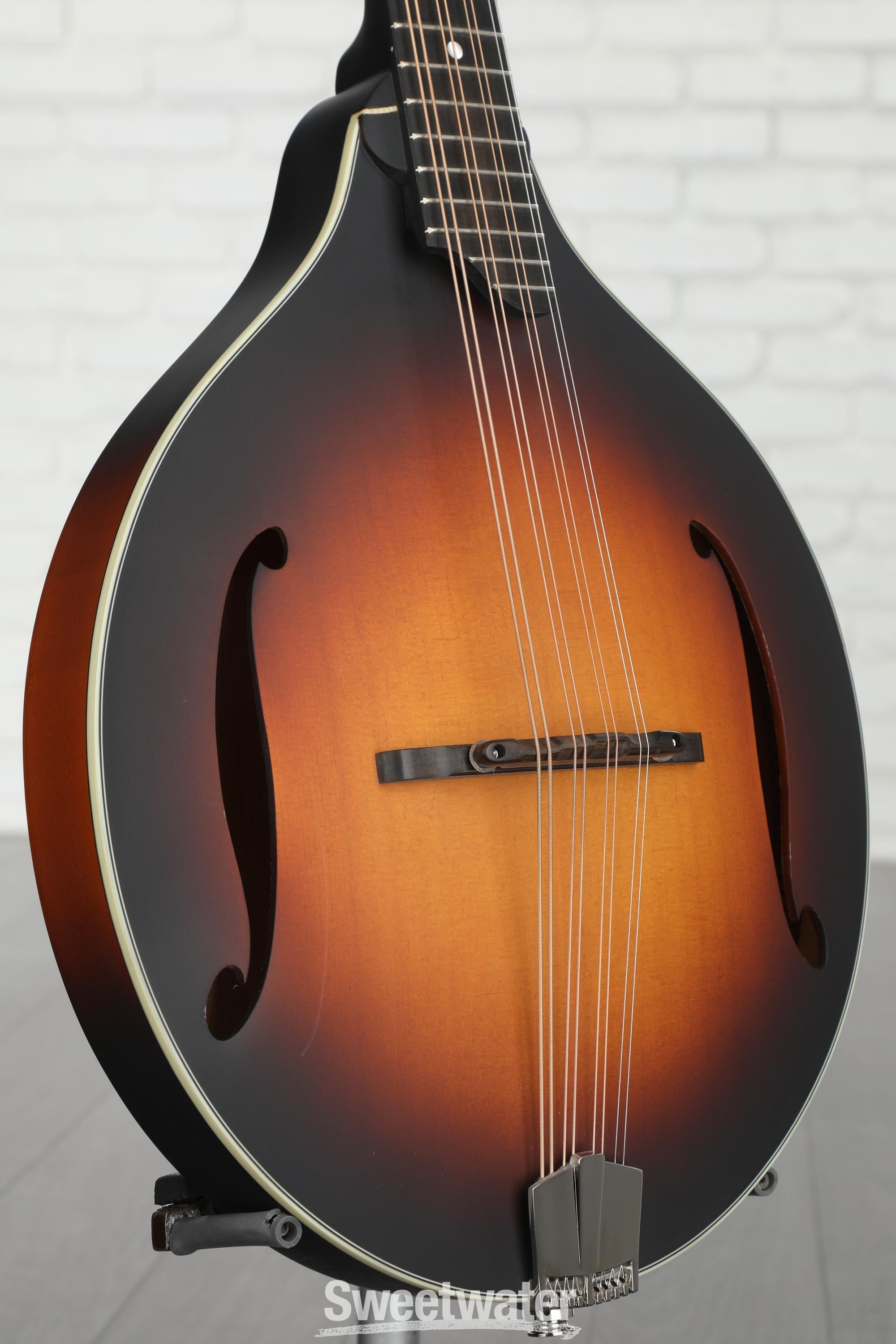 Eastman MDO-305 (Octave Mandolin) |ドルフィンギターズ