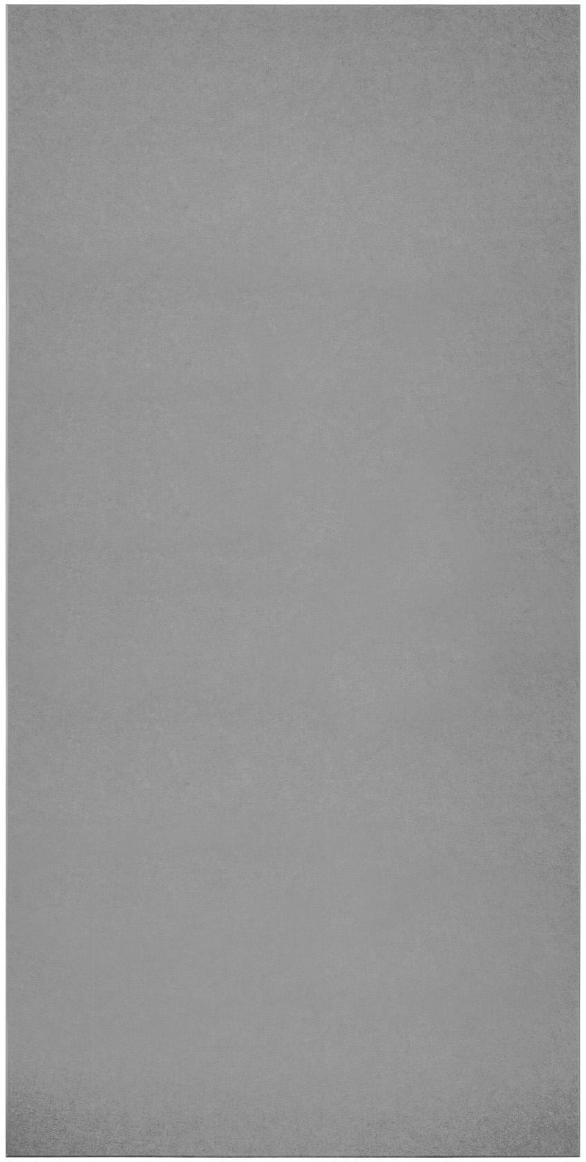 Primacoustic Ecoscapes 4-foot X 8-foot Wall Panel - Slate 