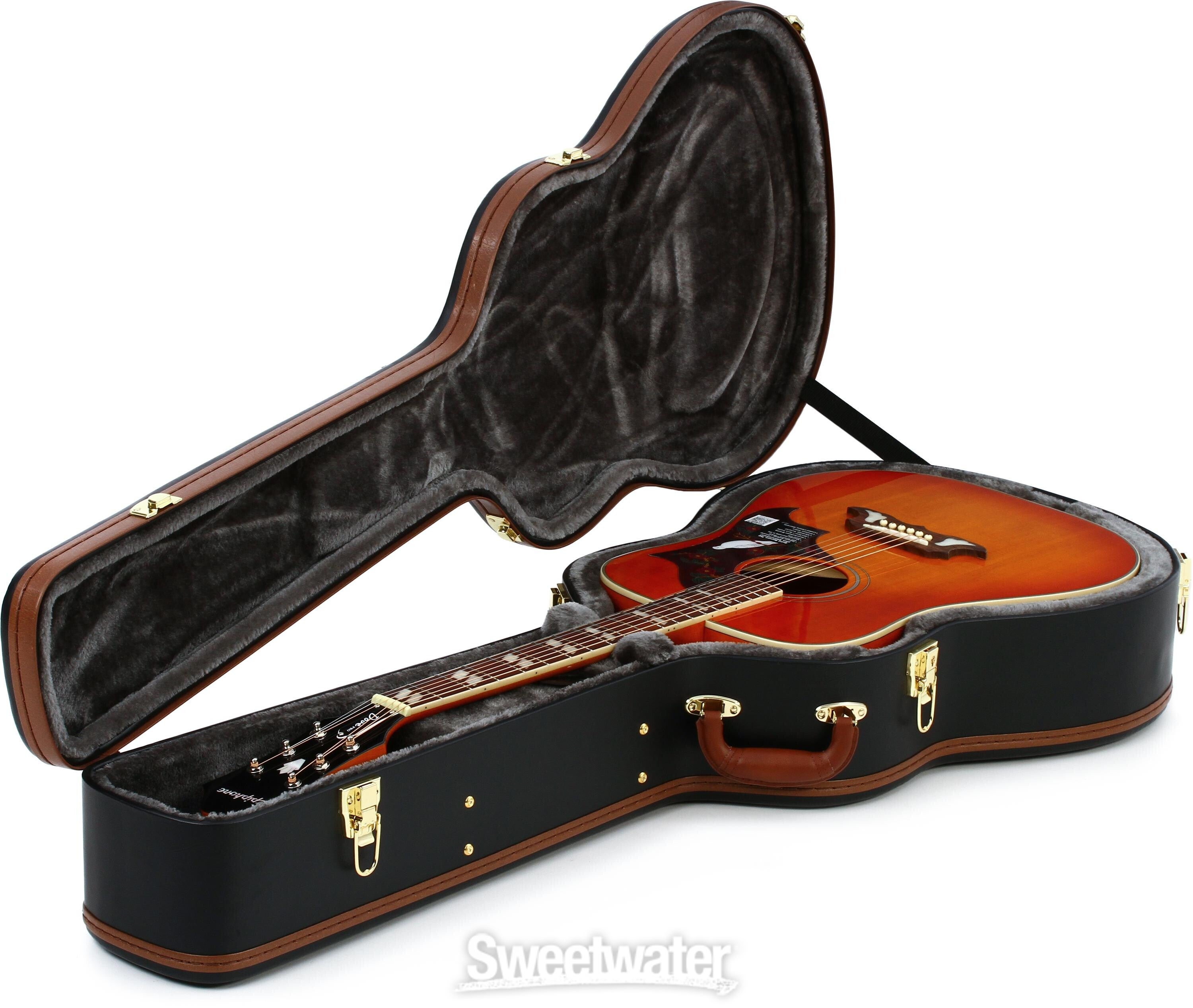 Epiphone acoustic 2025 guitar case