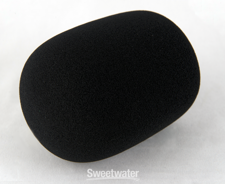 配信機器・PA機器・レコーディング機器 Electro-Voice WSPL-2 Foam Windscreen Electro-Voice WSPL-2 Foam Windscreen for RE20 | Sweetwater