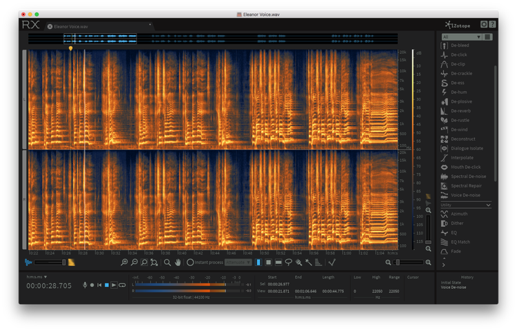 iZotope RX 6 Advanced Audio Editor | Sweetwater