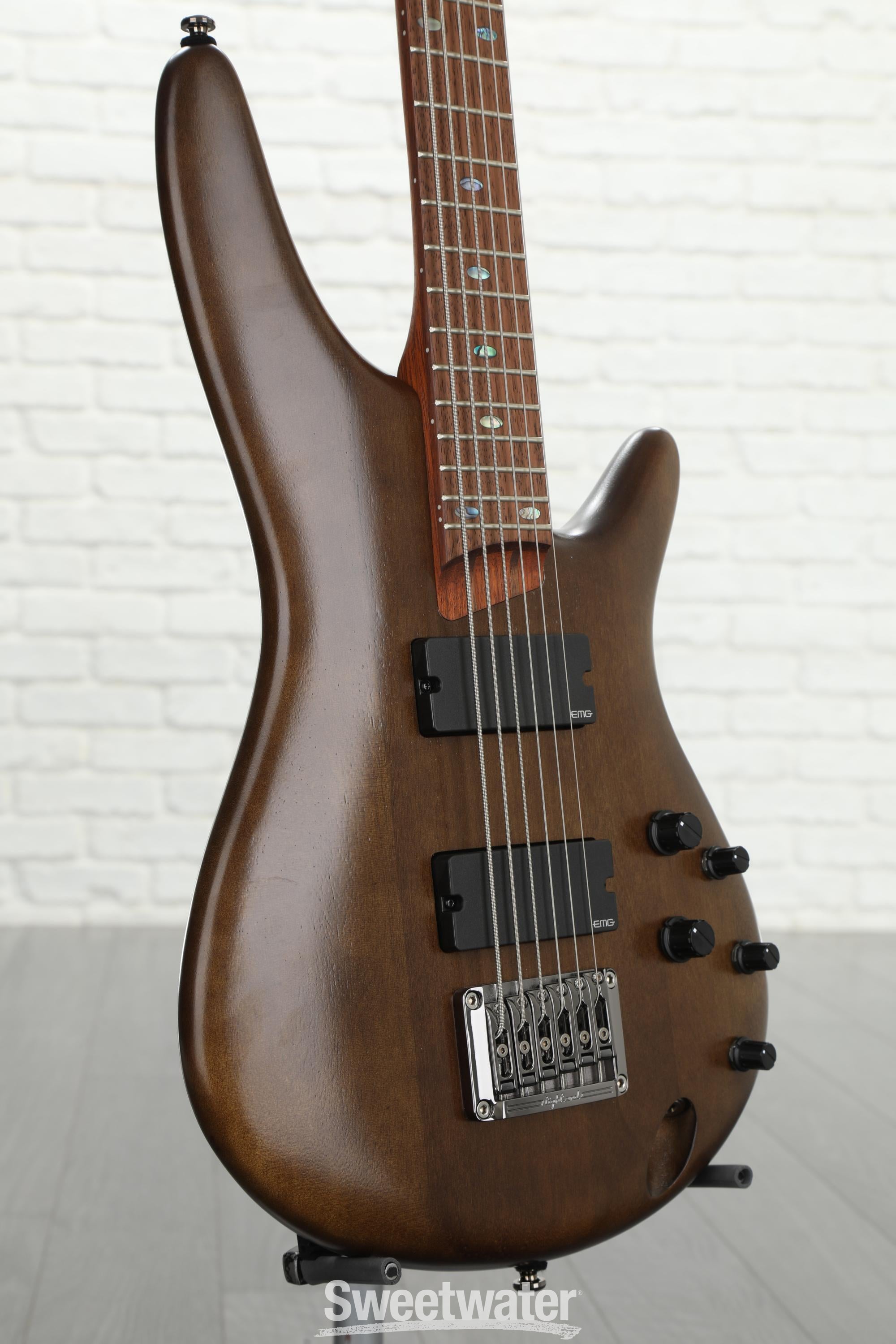 Ibanez SRC6 Bass Guitar - Walnut Flat Reviews | Sweetwater