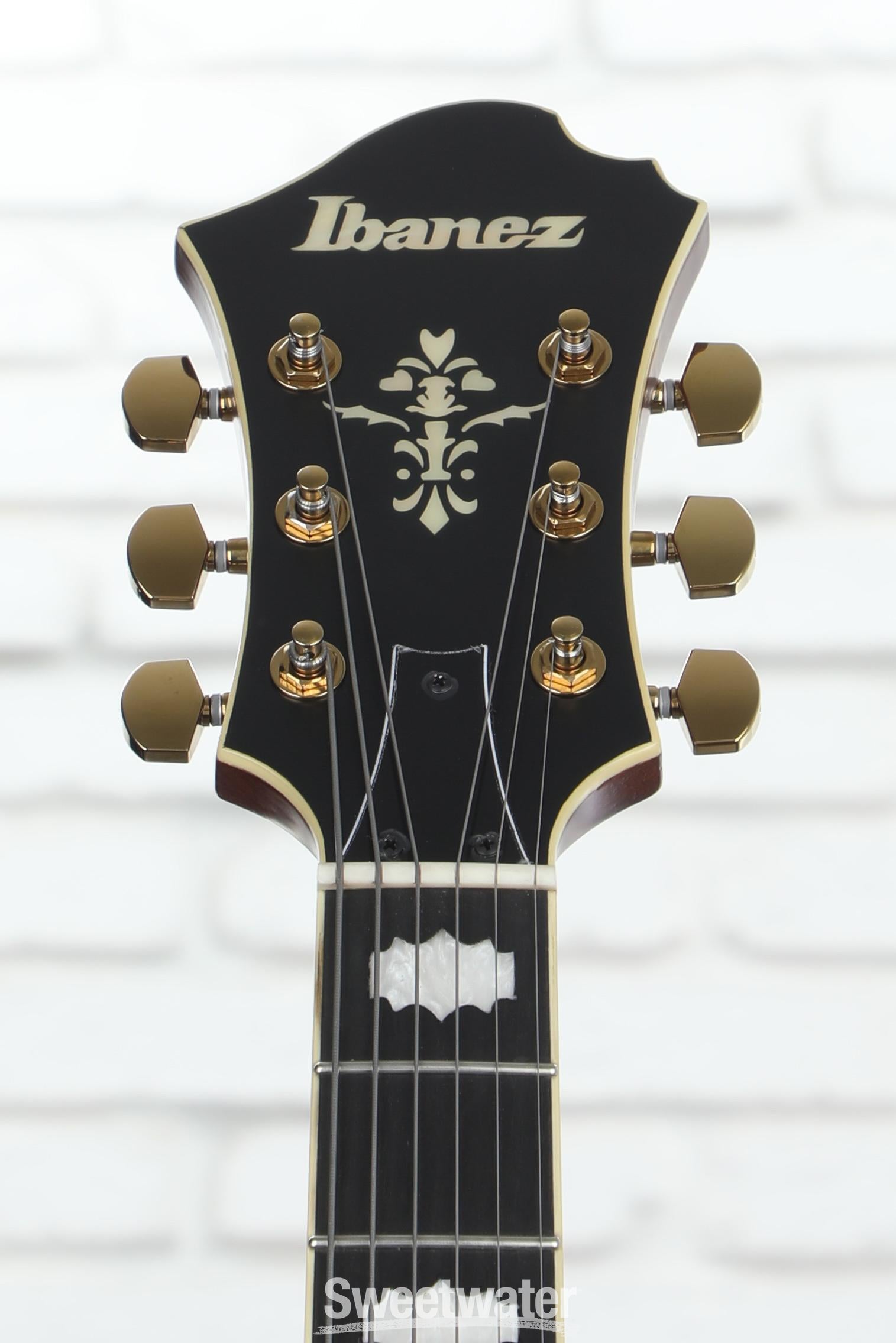 Ibanez PM3C Pat Metheny Signature Hollowbody Electric Guitar