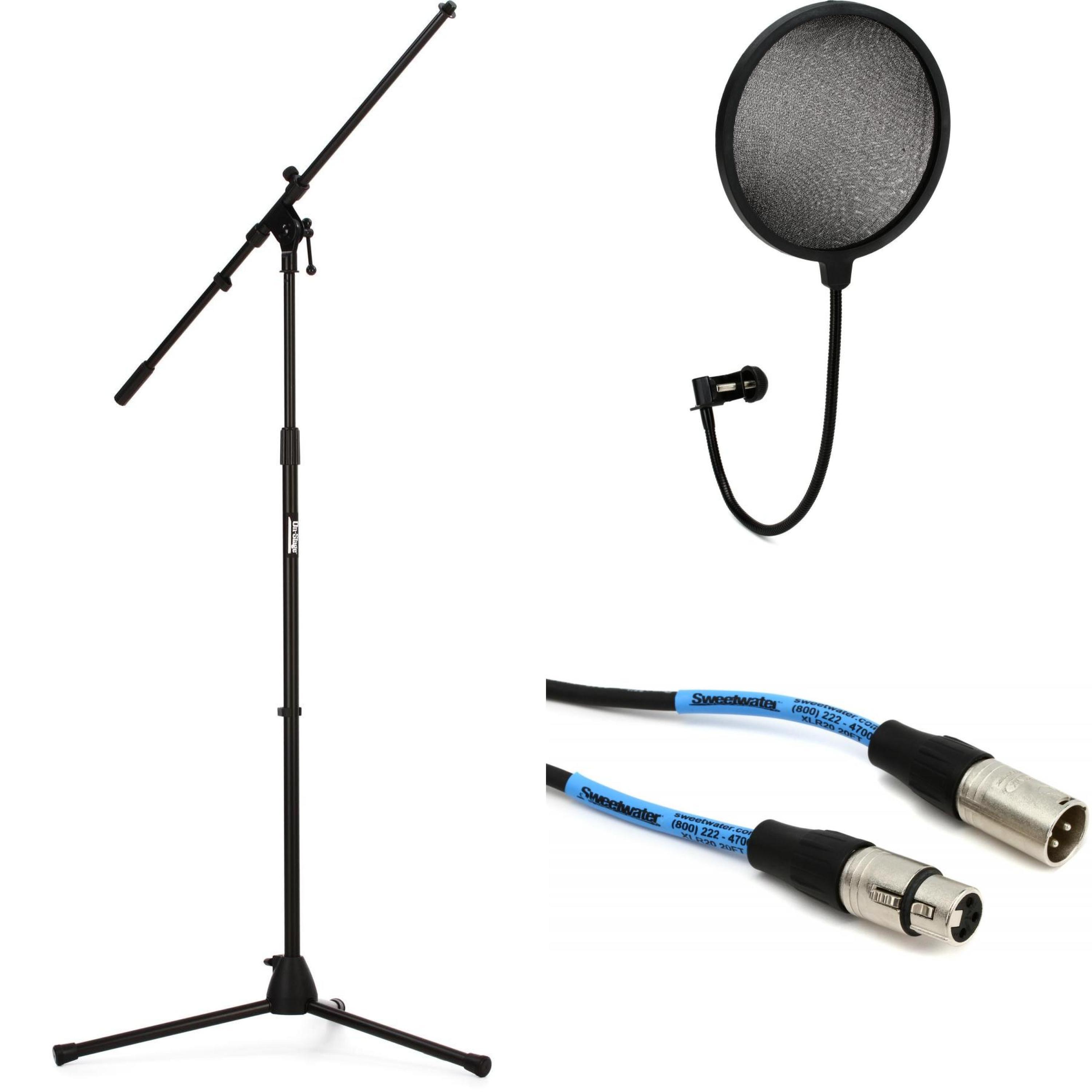 On-Stage Mic Stand, Cable, and Pop Filter |