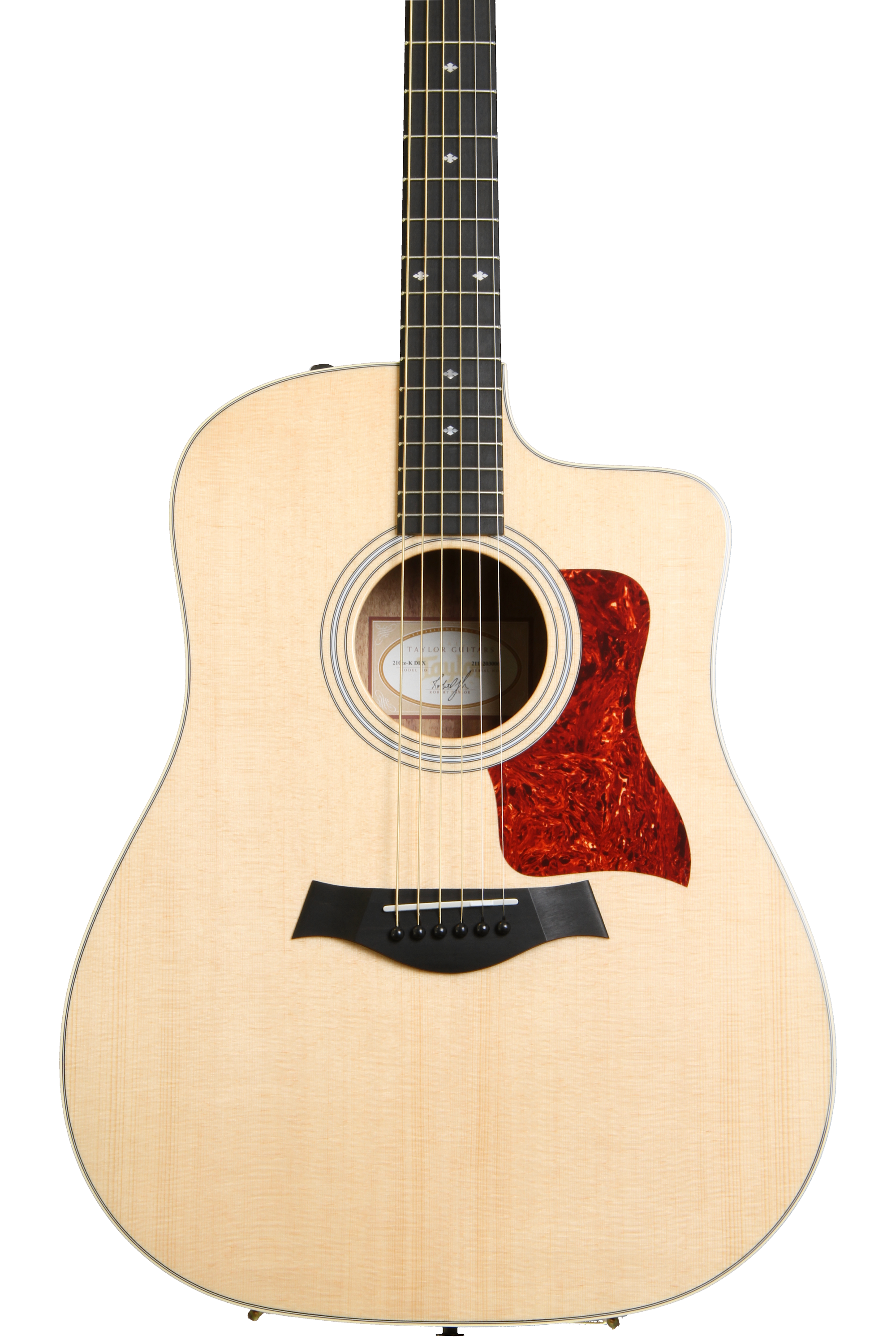 TAYLOR 210CE Used w/Gig case