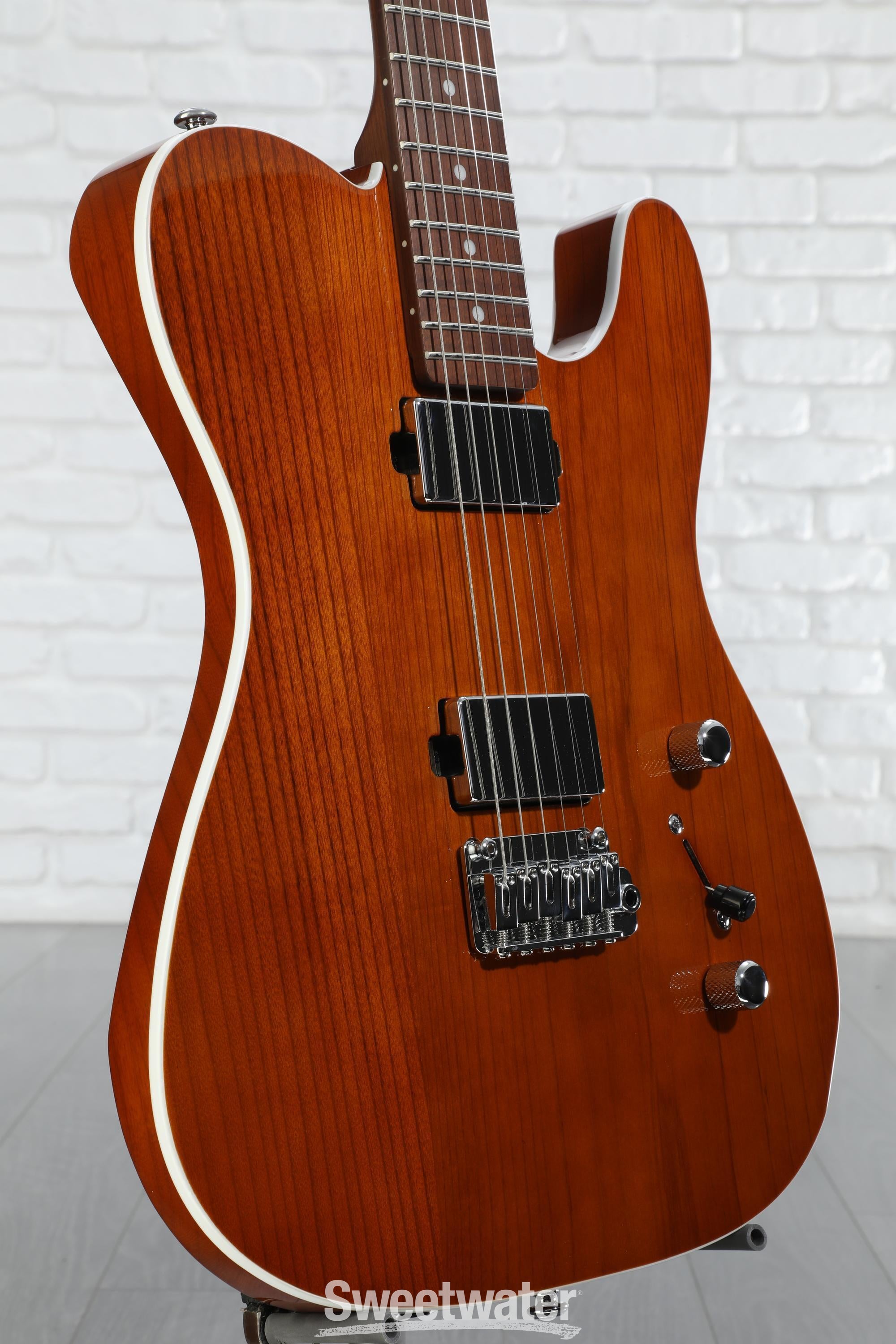 シェクターschecter van nuys diamond