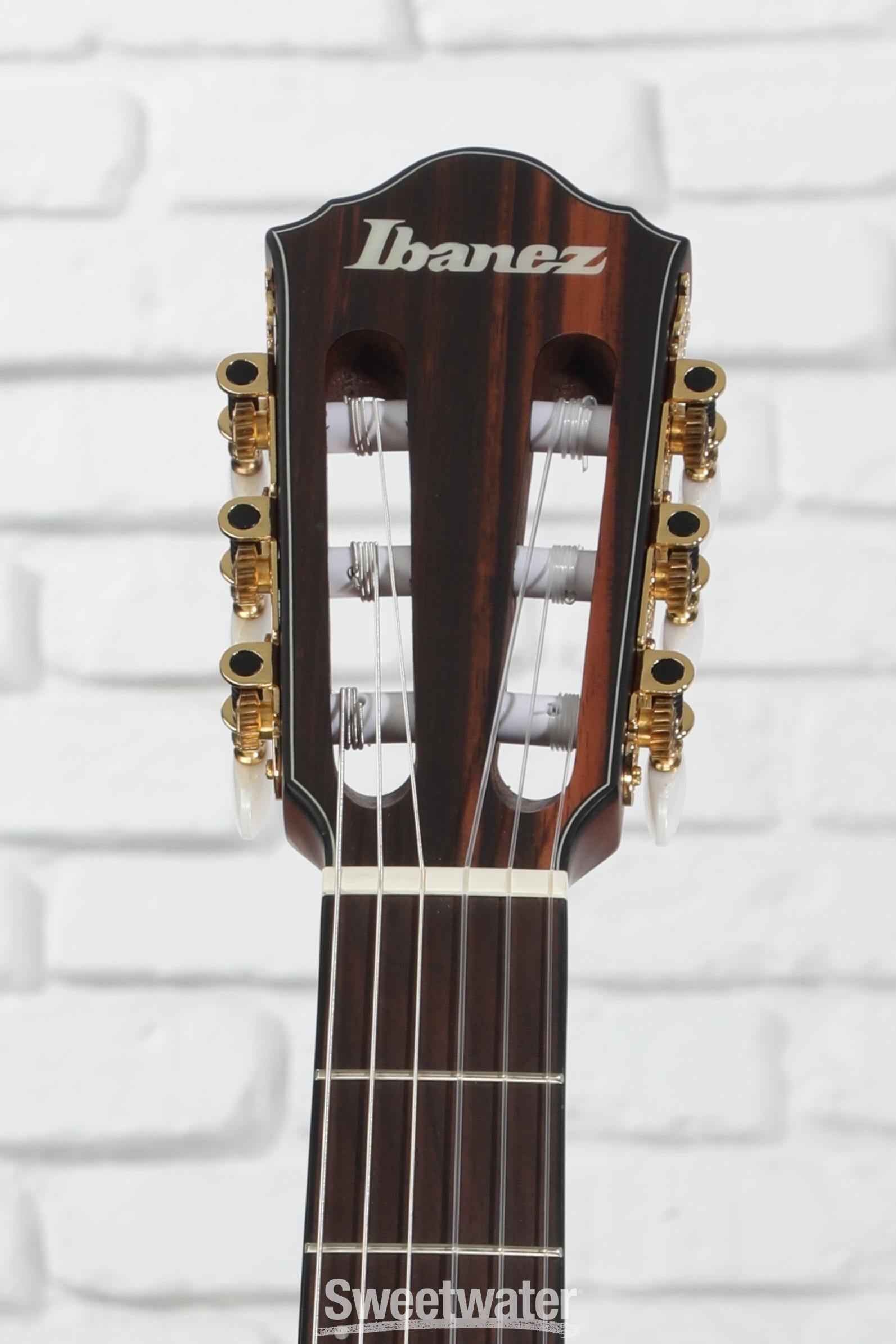 Ibanez FRH10NRGF Thinline Nylon Acoustic-electric Guitar - Rose Gold Metallic Flat