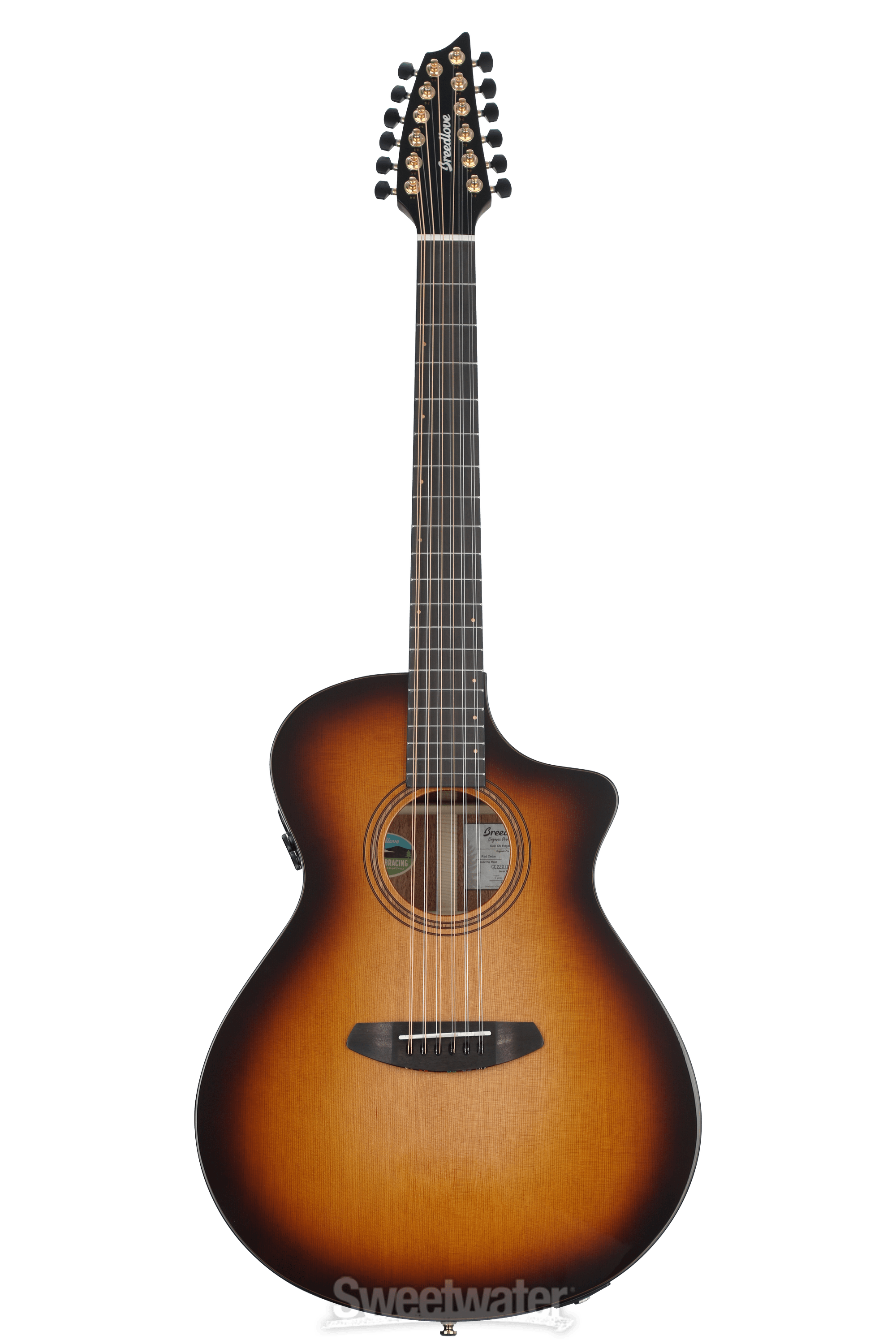 ギター DeliciousTaylormade BeeAround Rosso LTD ギター DeliciousTaylormade BeeAround Rosso LTD Freedom
