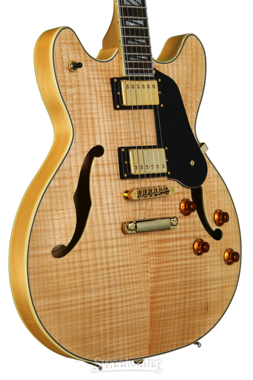 Washburn Hollowbody HB35 Semi-Hollow - Natural | Sweetwater