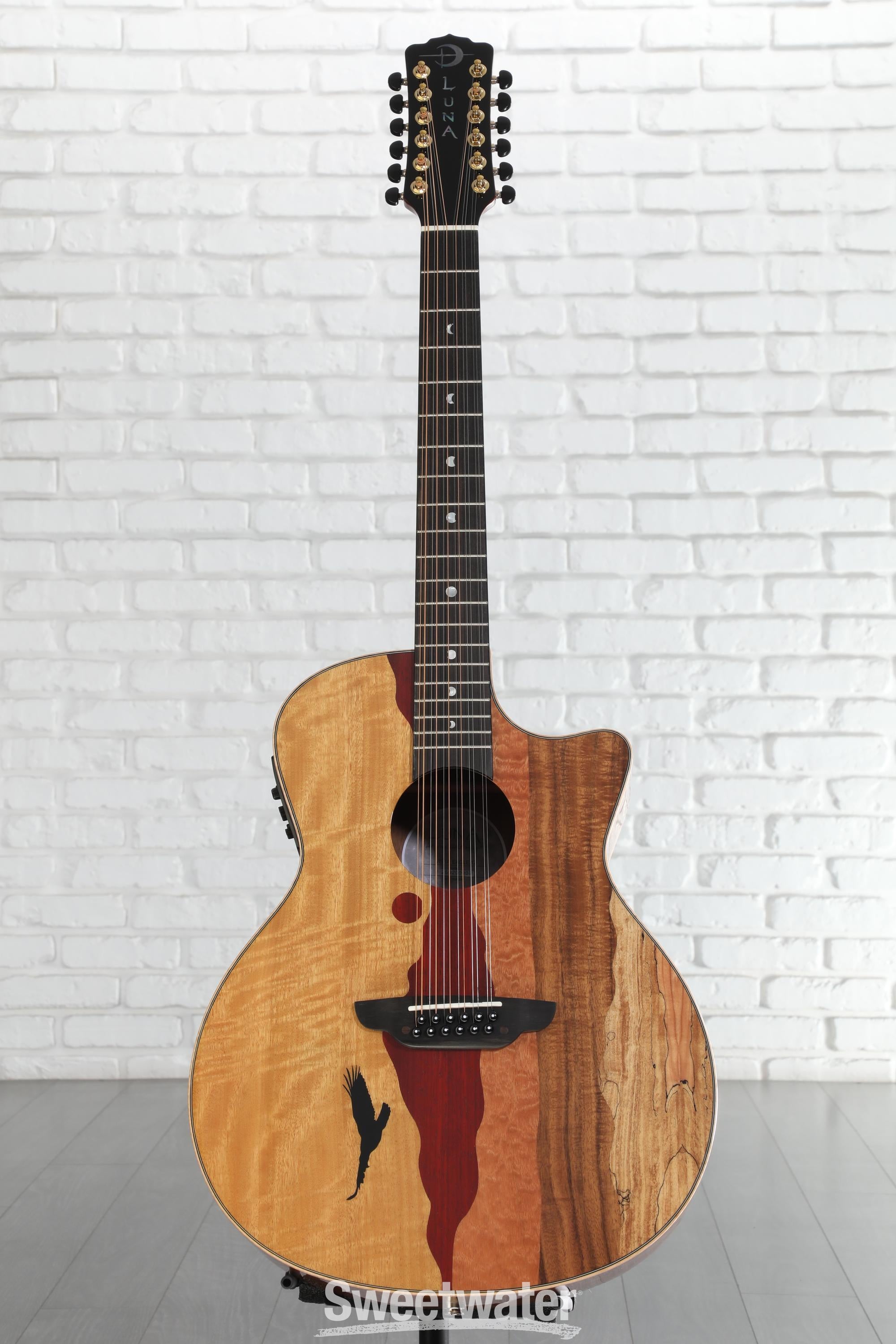 ギター LUNA GUITARS VISTA EAGLE Amazon | Luna Guitars VISTA EAGLE 12弦コンプリートエレクトロ