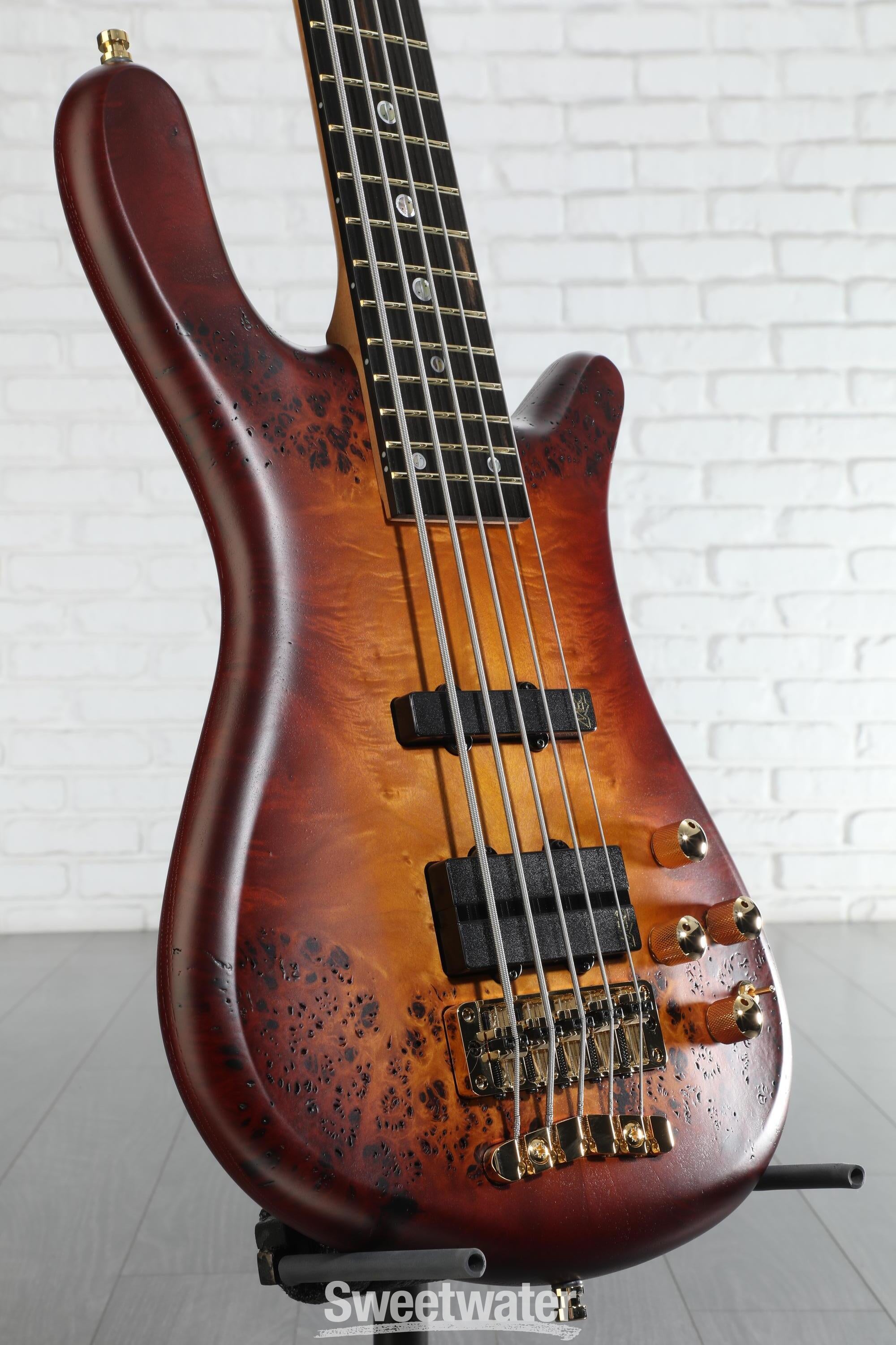 Warwick Teambuilt Streamer LX Limited Edition 5-string Bass Guitar