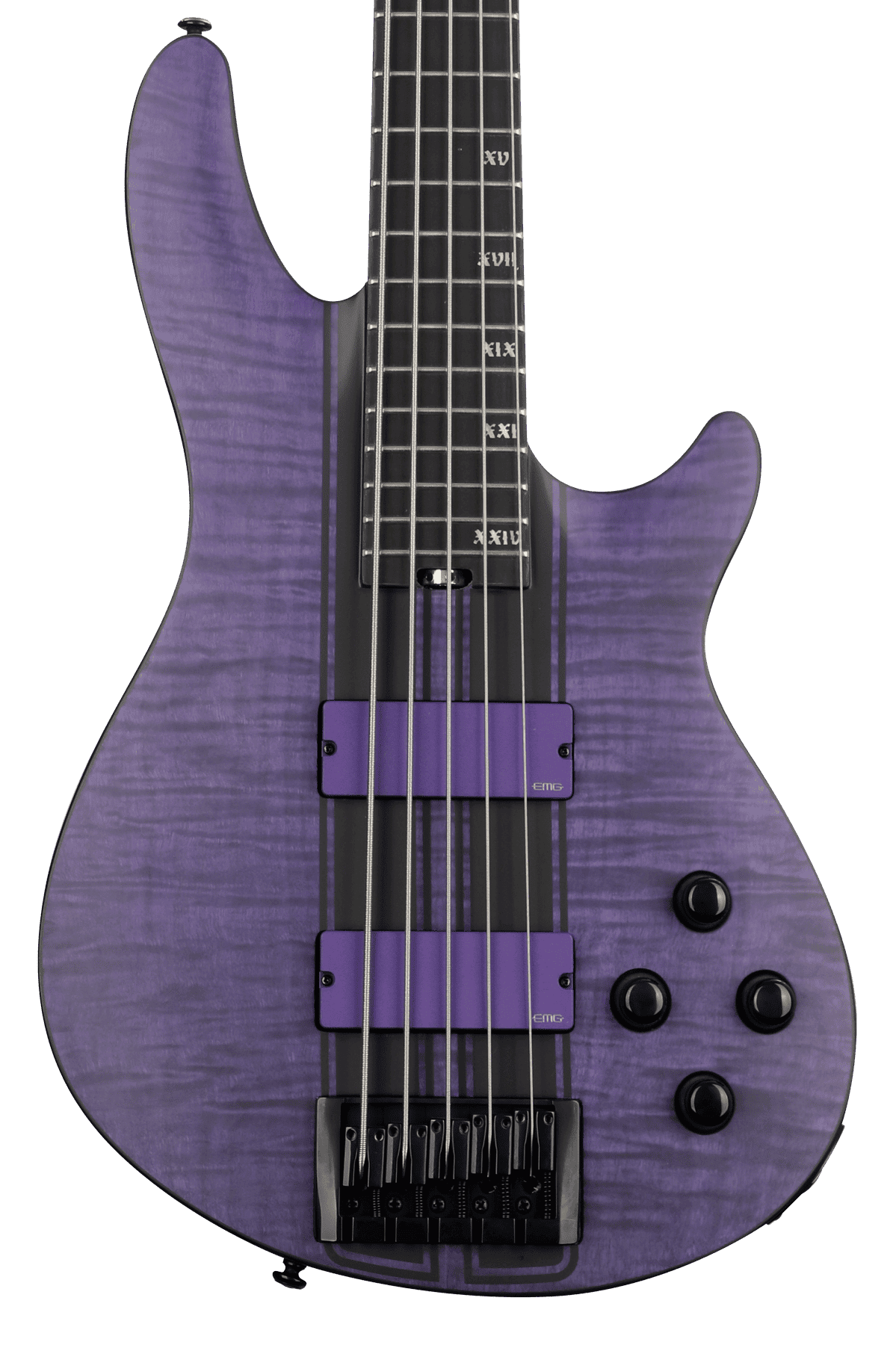 レア Schecter 5弦プレベ Schecter C-5 GT Bass - Satin Trans Purple | Sweetwater