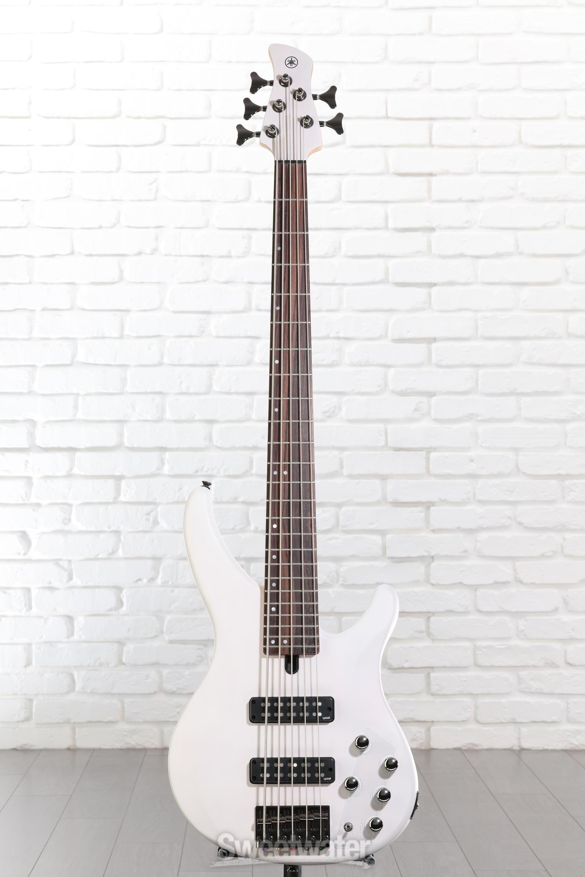 Yamaha TRBX505 5-string Bass Guitar - Translucent White | Sweetwater