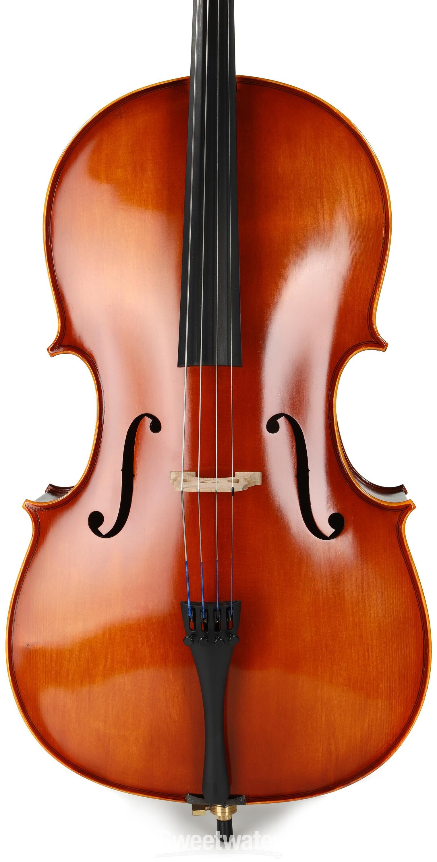 Eastman VC100 Samuel Eastman Student Cello Outfit - 3/4 Size