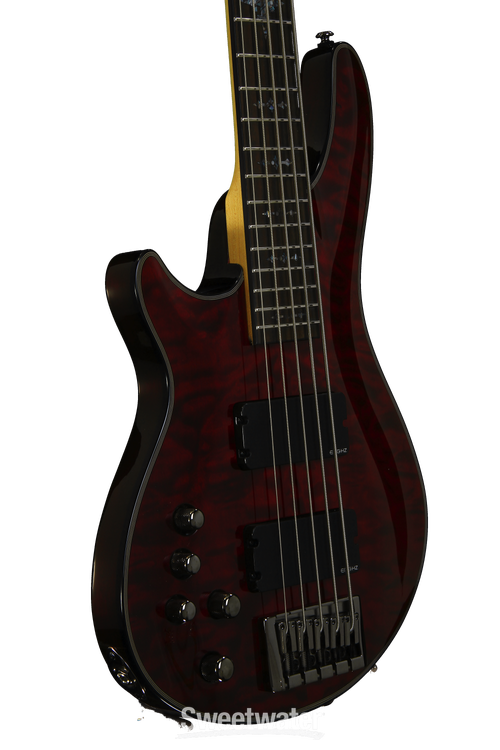 Schecter Diamond Damien Elite 5弦　ケース付き Schecter Diamond Damien Elite 5弦 ケース付き SCHECTER Damien ELITE