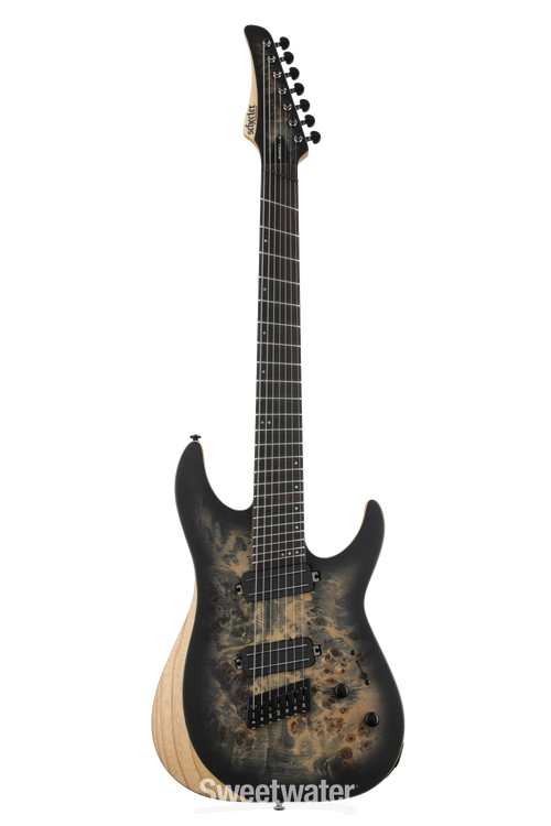 Schecter multiscale deals 7