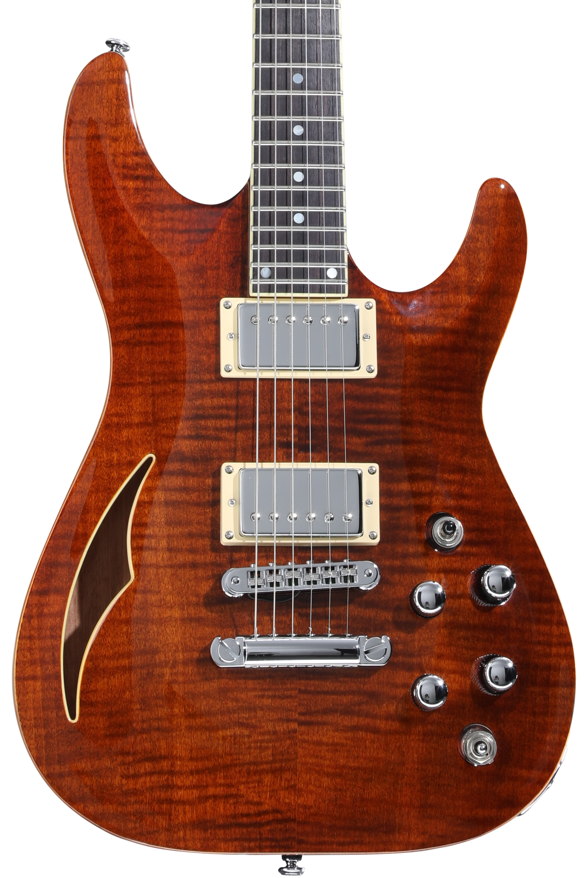 Schecter C-1 E/A Classic Semi-hollowbody Electric Guitar - Cats