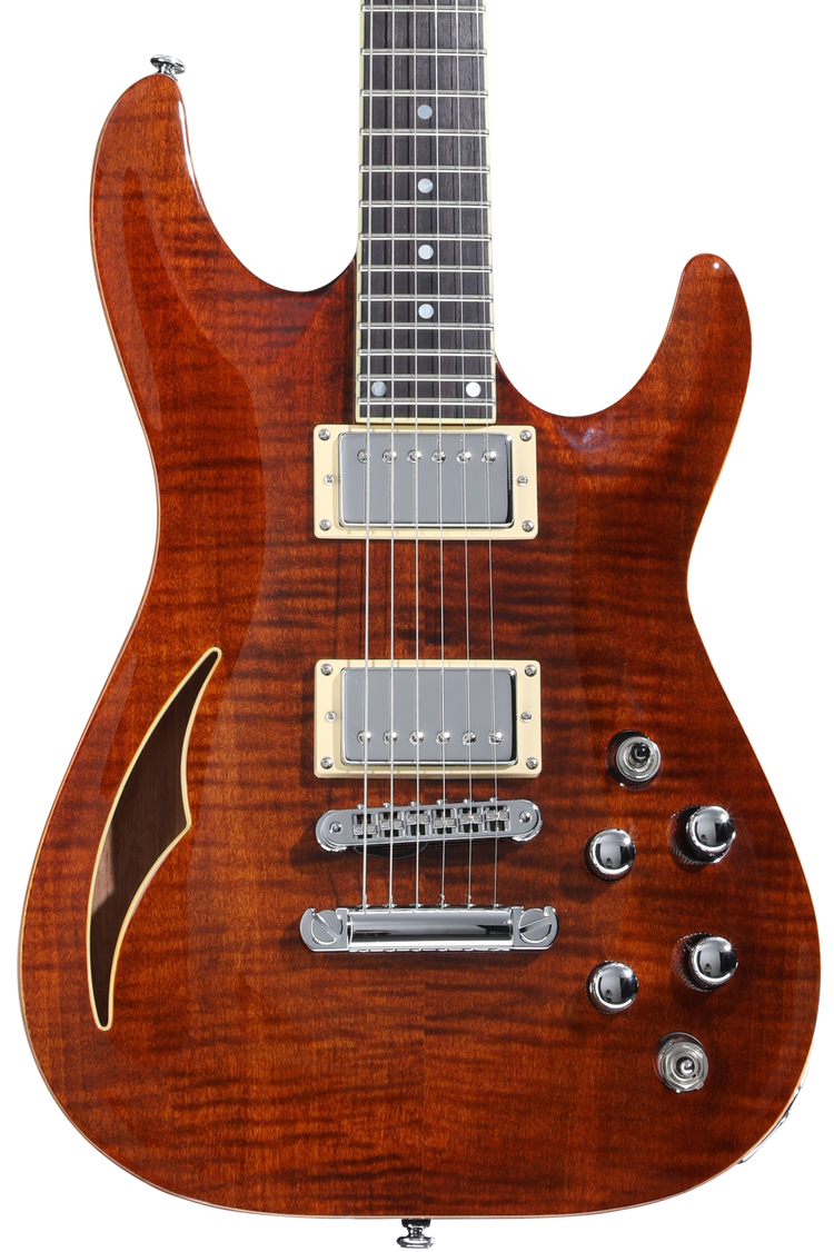 Schecter C-1 E/A Classic Semi-hollowbody Electric Guitar - Cats